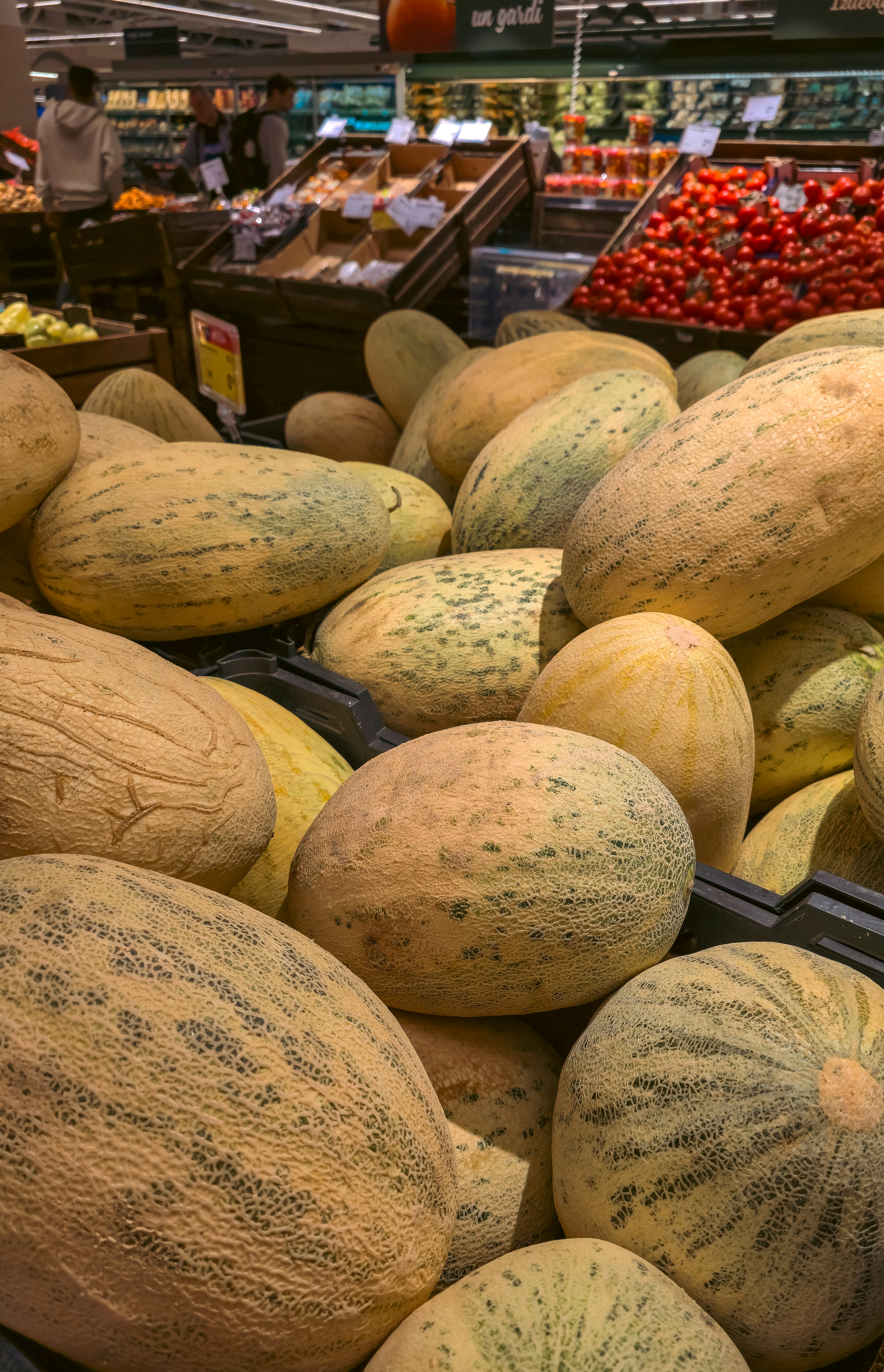 Dưa lưới