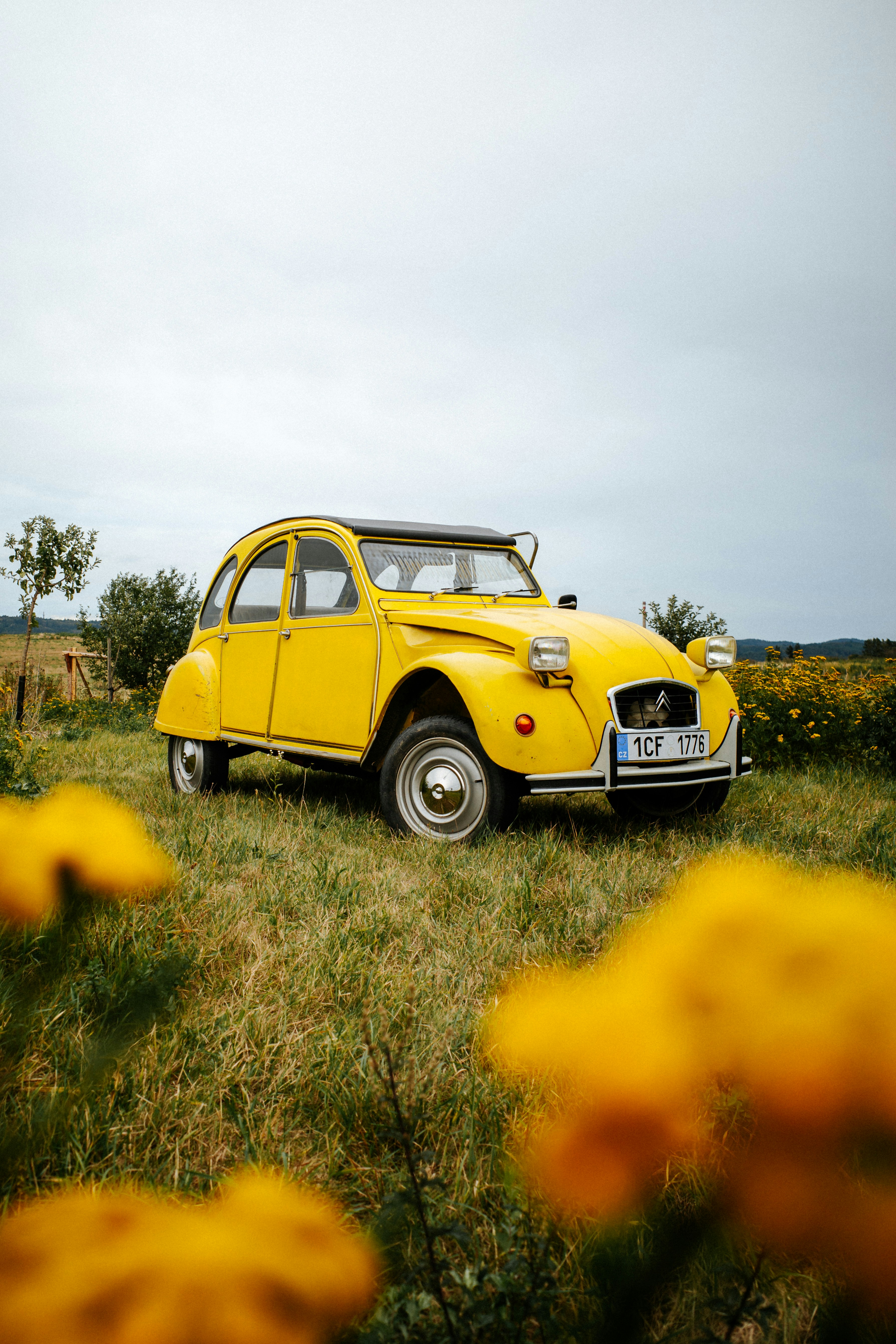 Una Citroën 2CV gialla parcheggiata in un campo erboso con fiori selvatici gialli