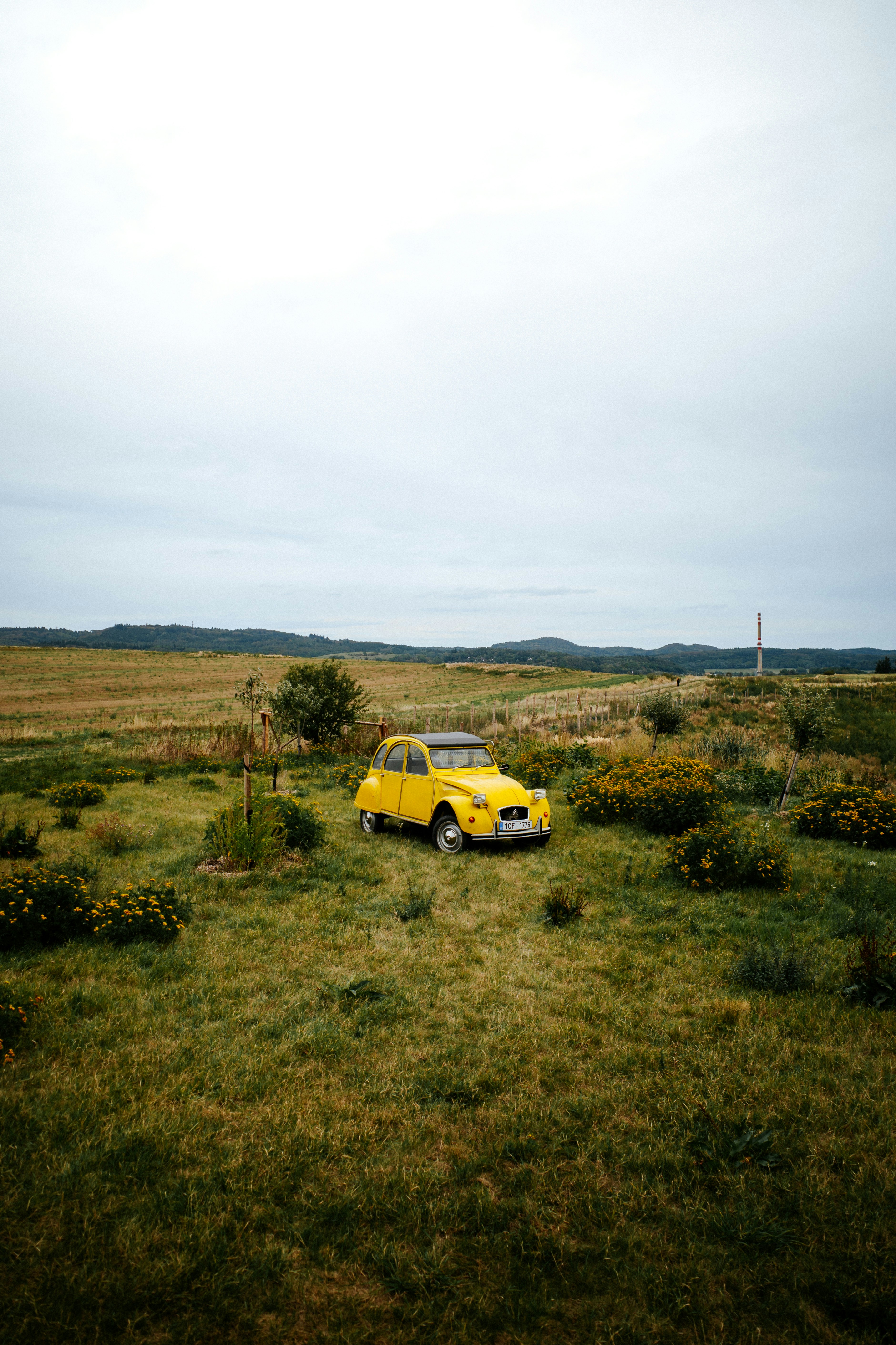 Una Citroën 2CV gialla parcheggiata in un campo erboso sotto un cielo nuvoloso