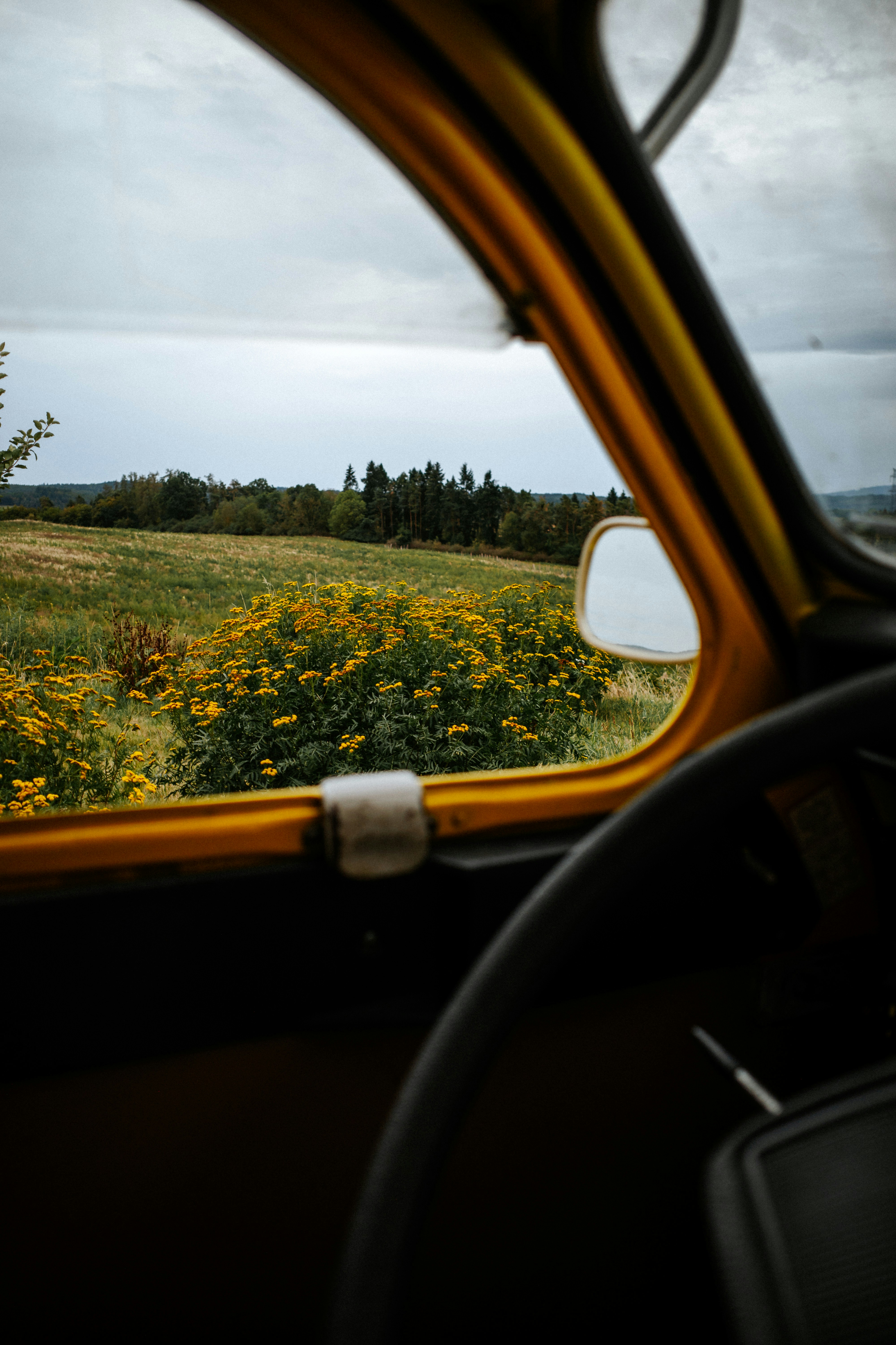 Vista da un finestrino giallo di auto di un campo con fiori selvatici gialli