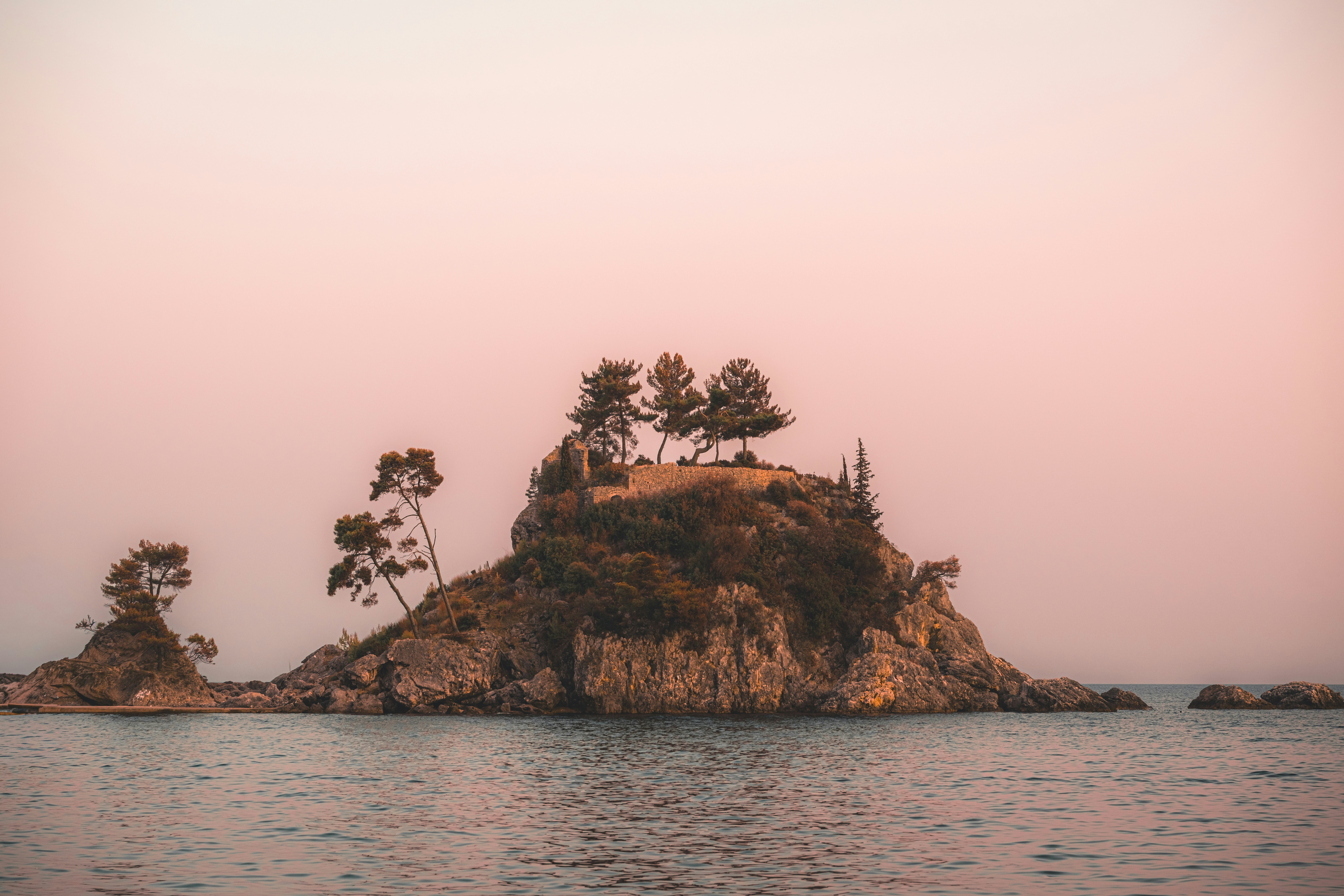 Pine trees on a rocky island in the sea under a soft pink sky