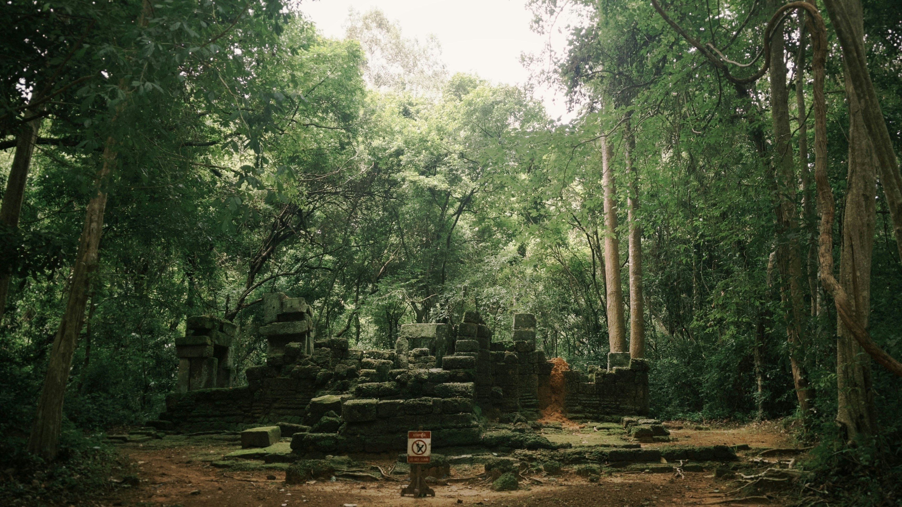 Ancient stone ruins overgrown with moss in a dense green forest