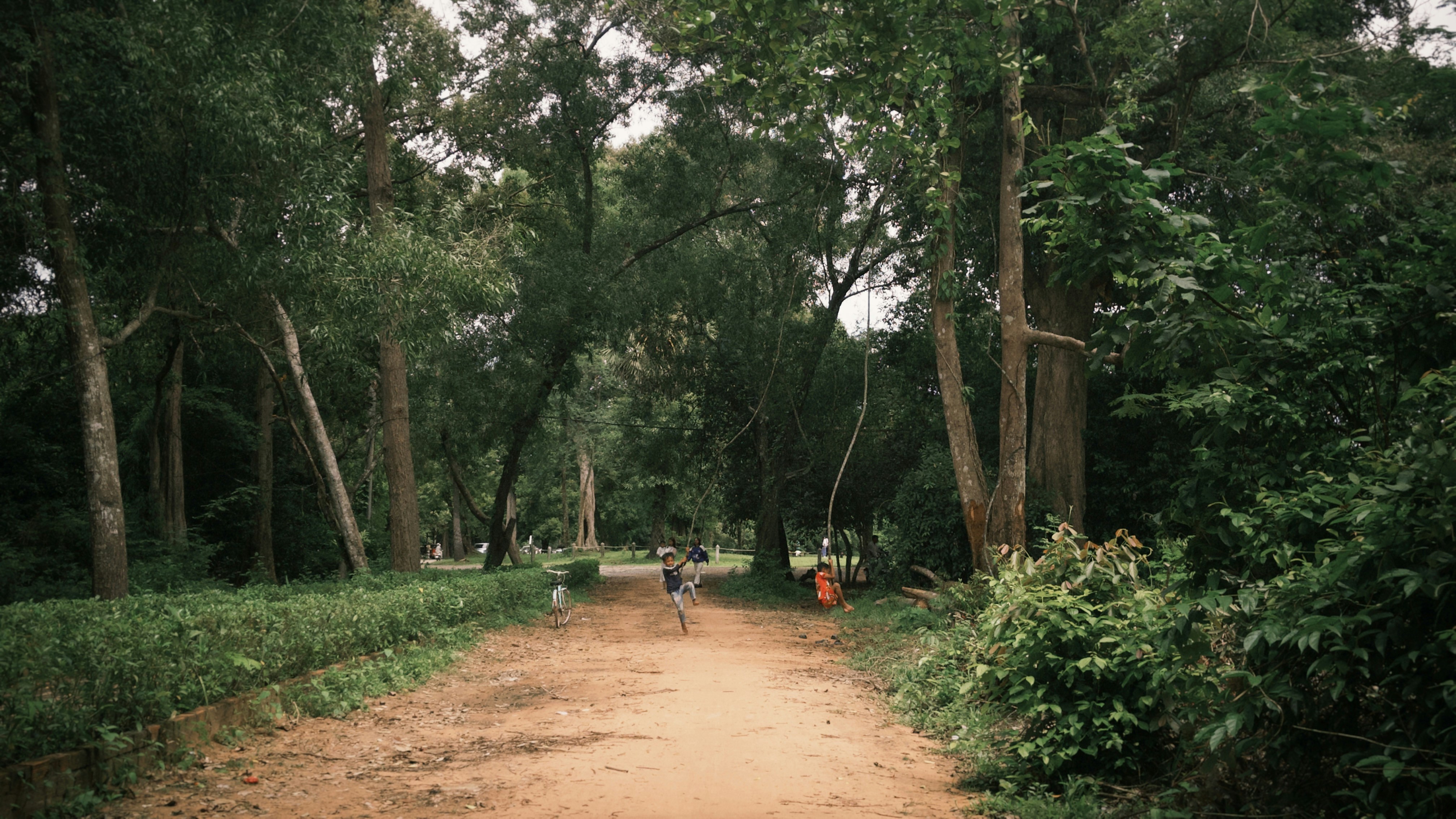 A child playing on a rope swing on a dirt path in a forest