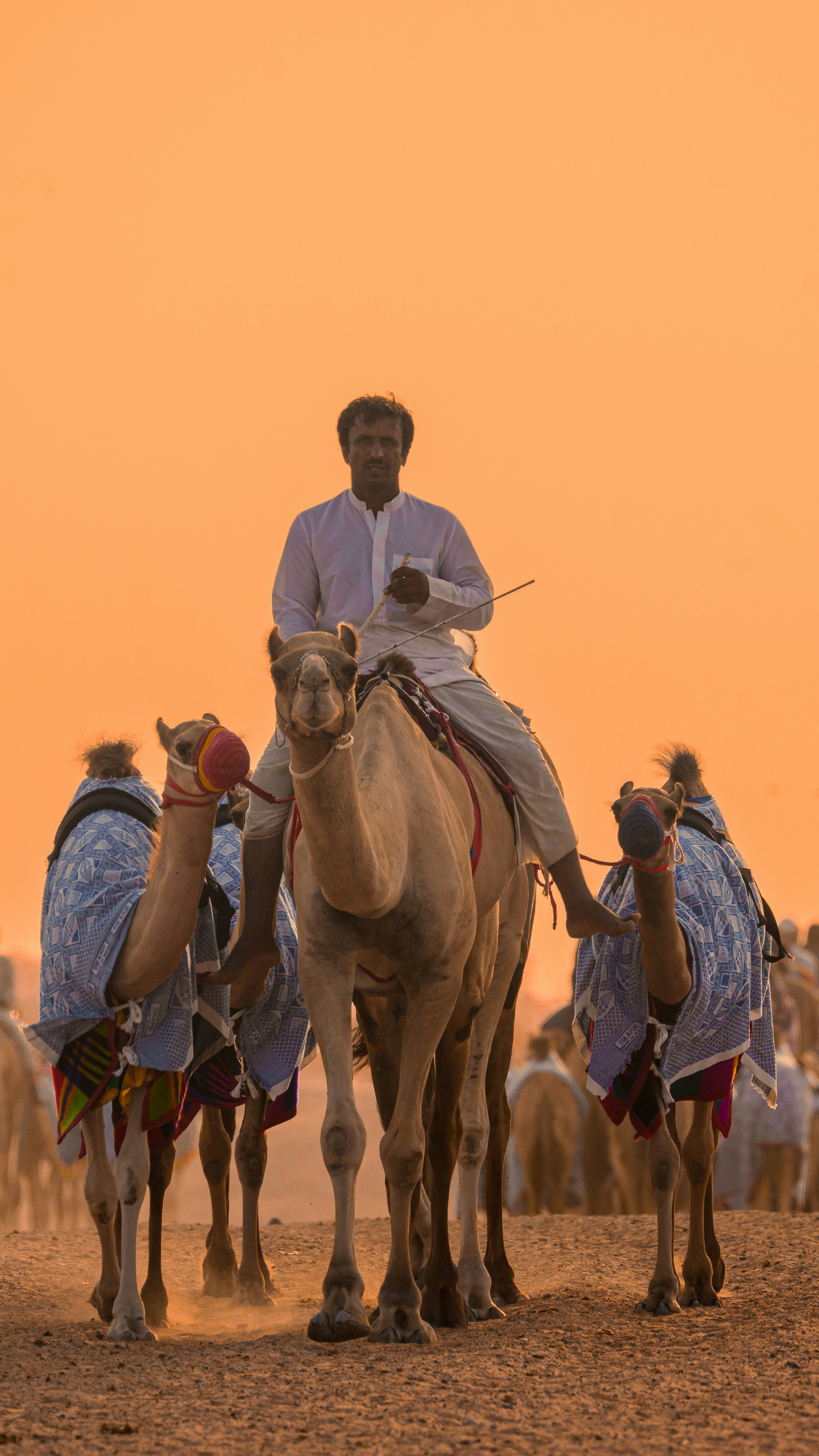 arabian desert battle, wallpaper, Perang Badar: Analisis Strategis & Dampak Sejarah 3