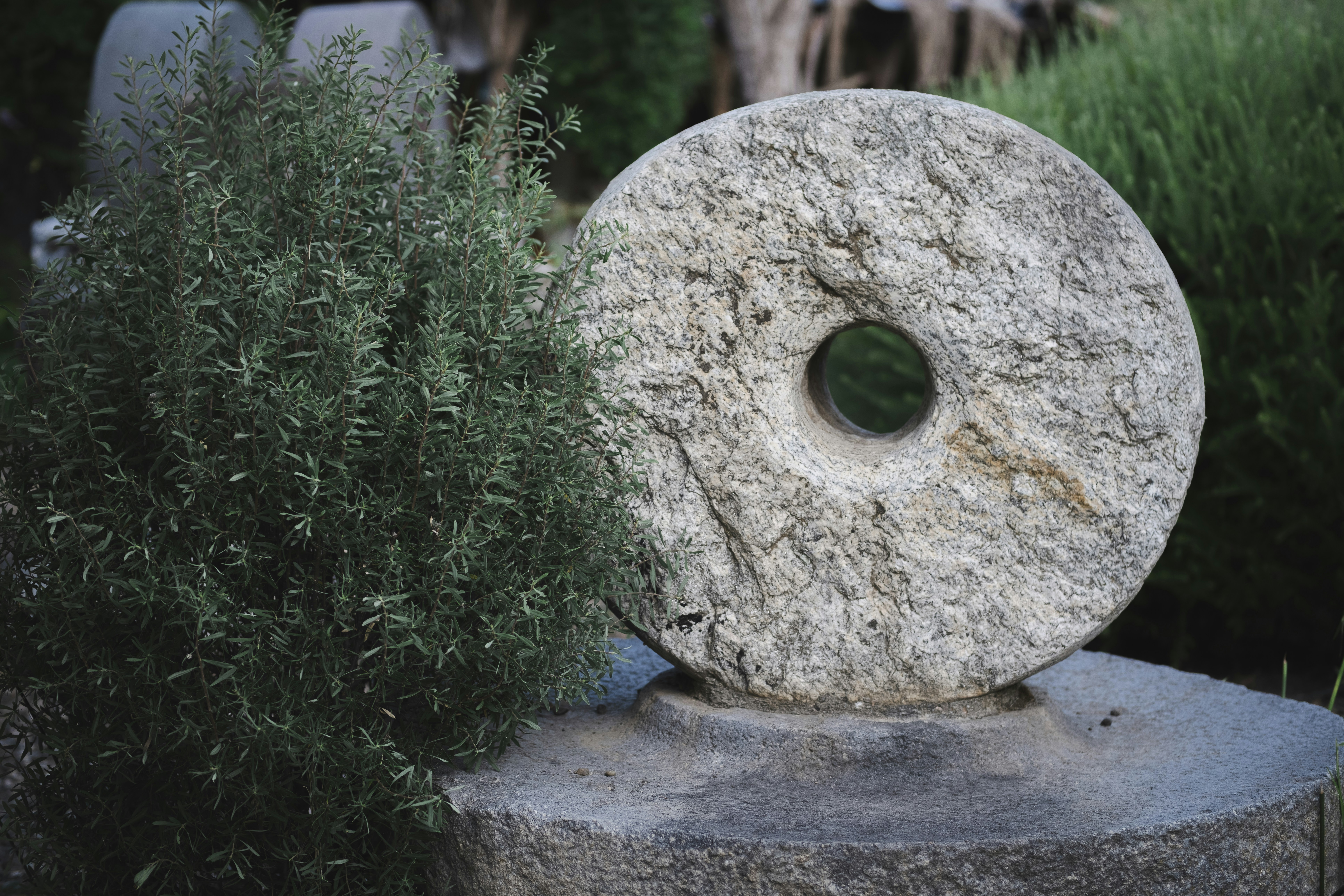 A circular stone millstone with a center hole beside a green shrub