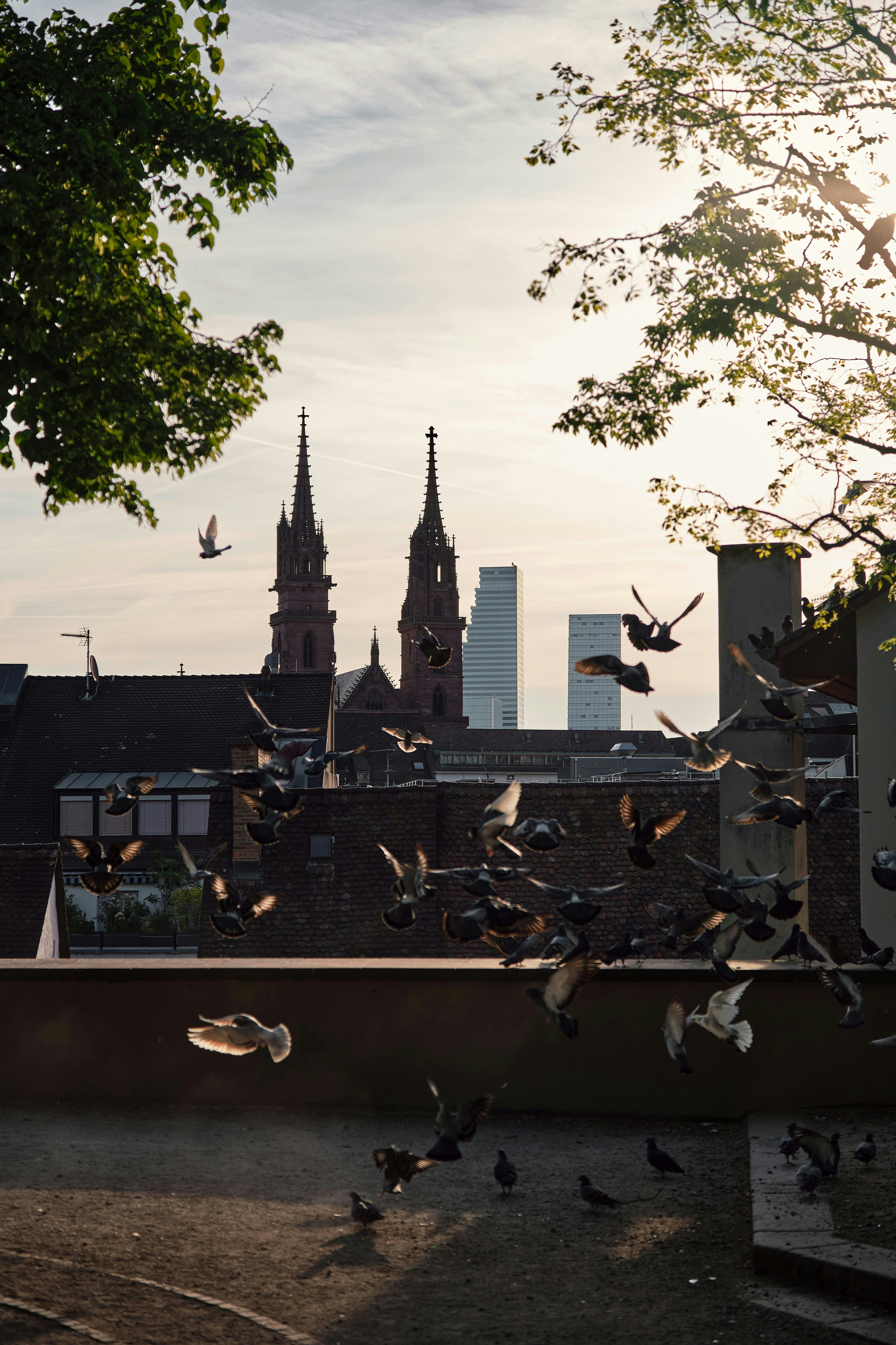 Out to the Edges: Fondation Beyeler and Museum Tinguely
