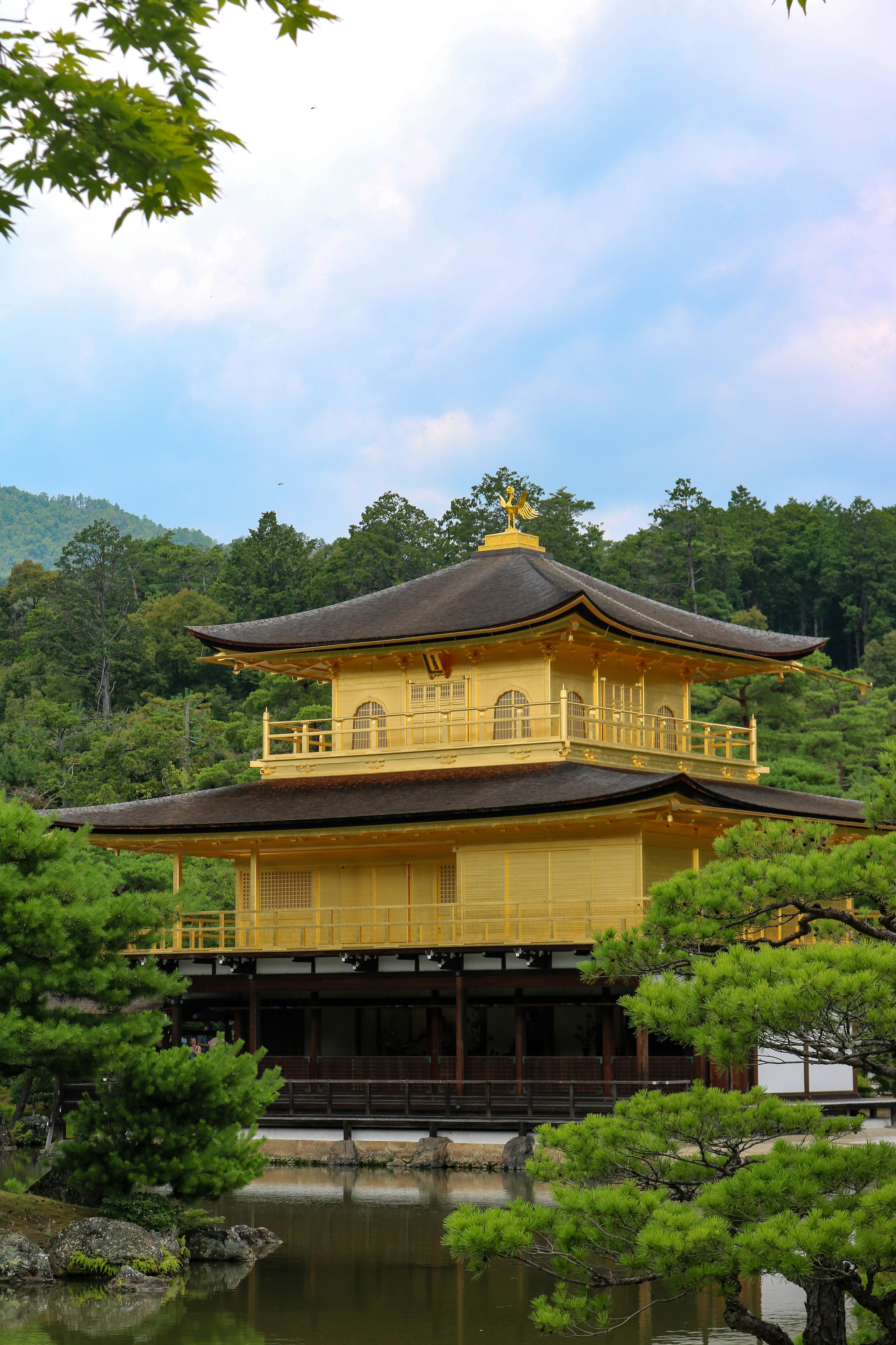 El pabellón dorado Kinkaku-ji reflejado en un estanque rodeado de pinos en Kioto