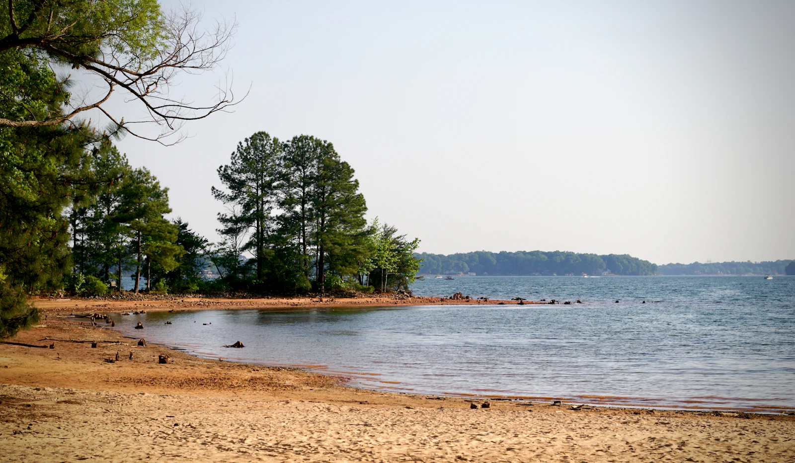 A sandy point with pines reaching into a large lake.