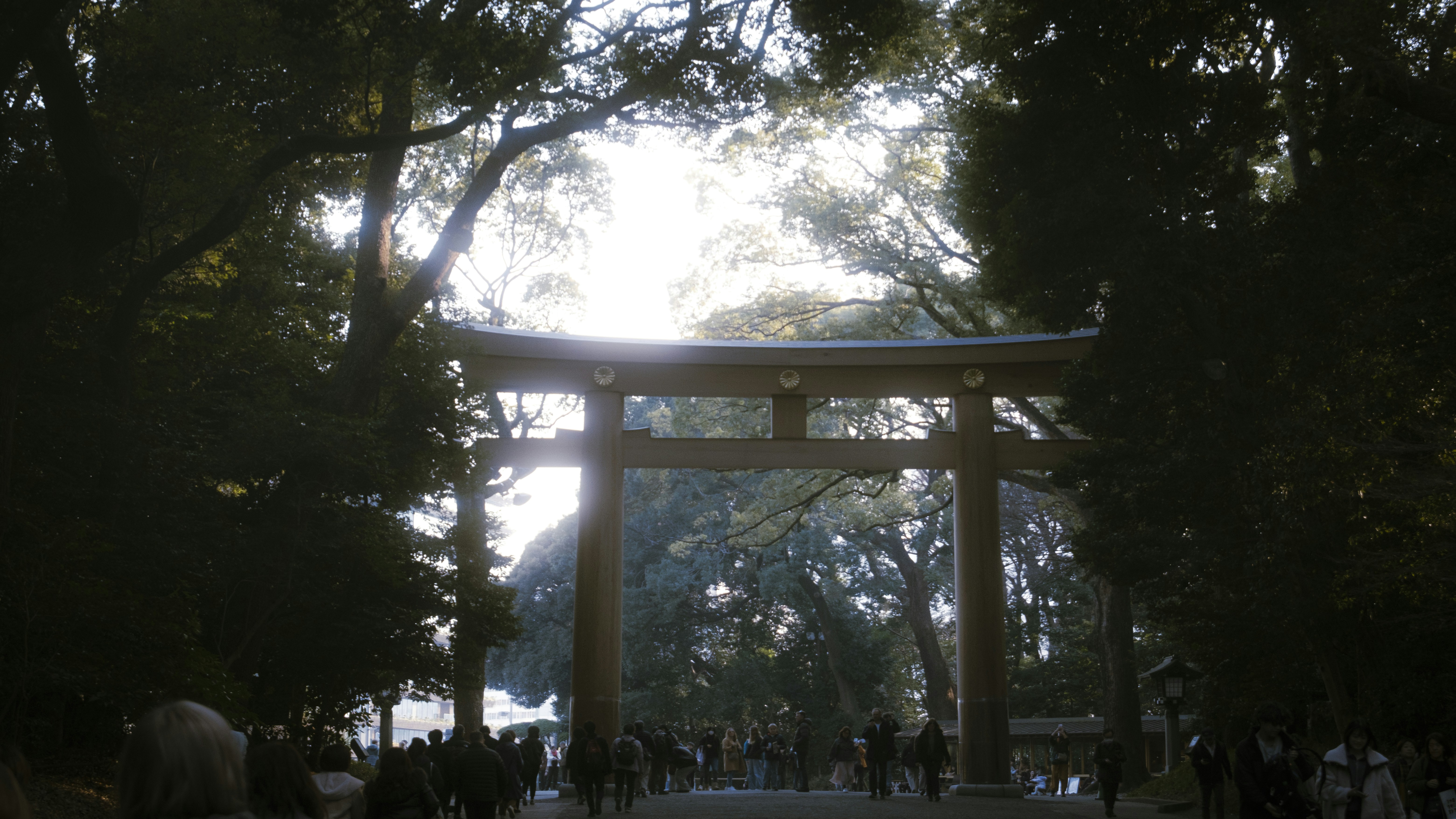 See: the best free stuff in the world's most expensive city