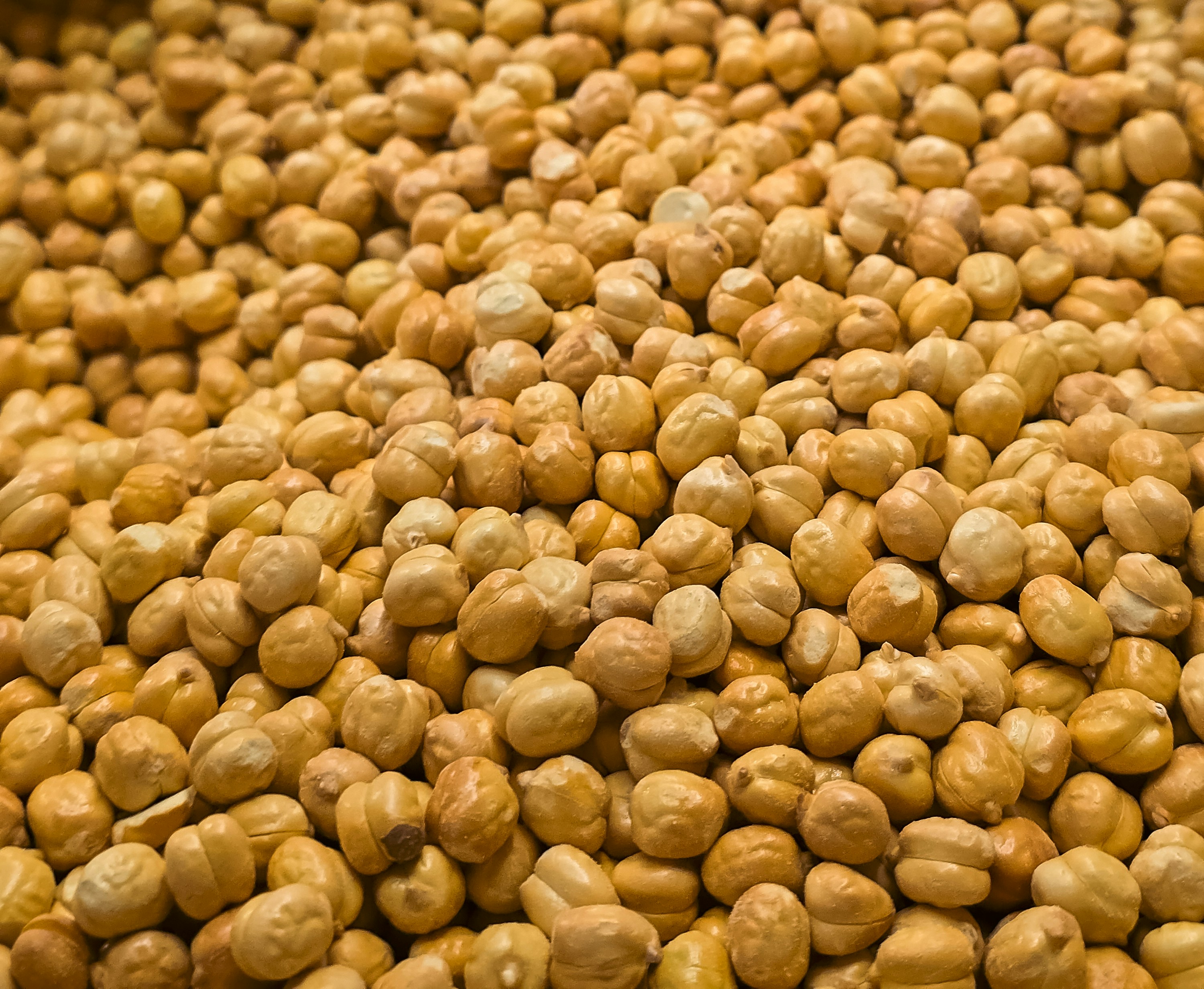 A large pile of dried beige chickpeas filling the frame