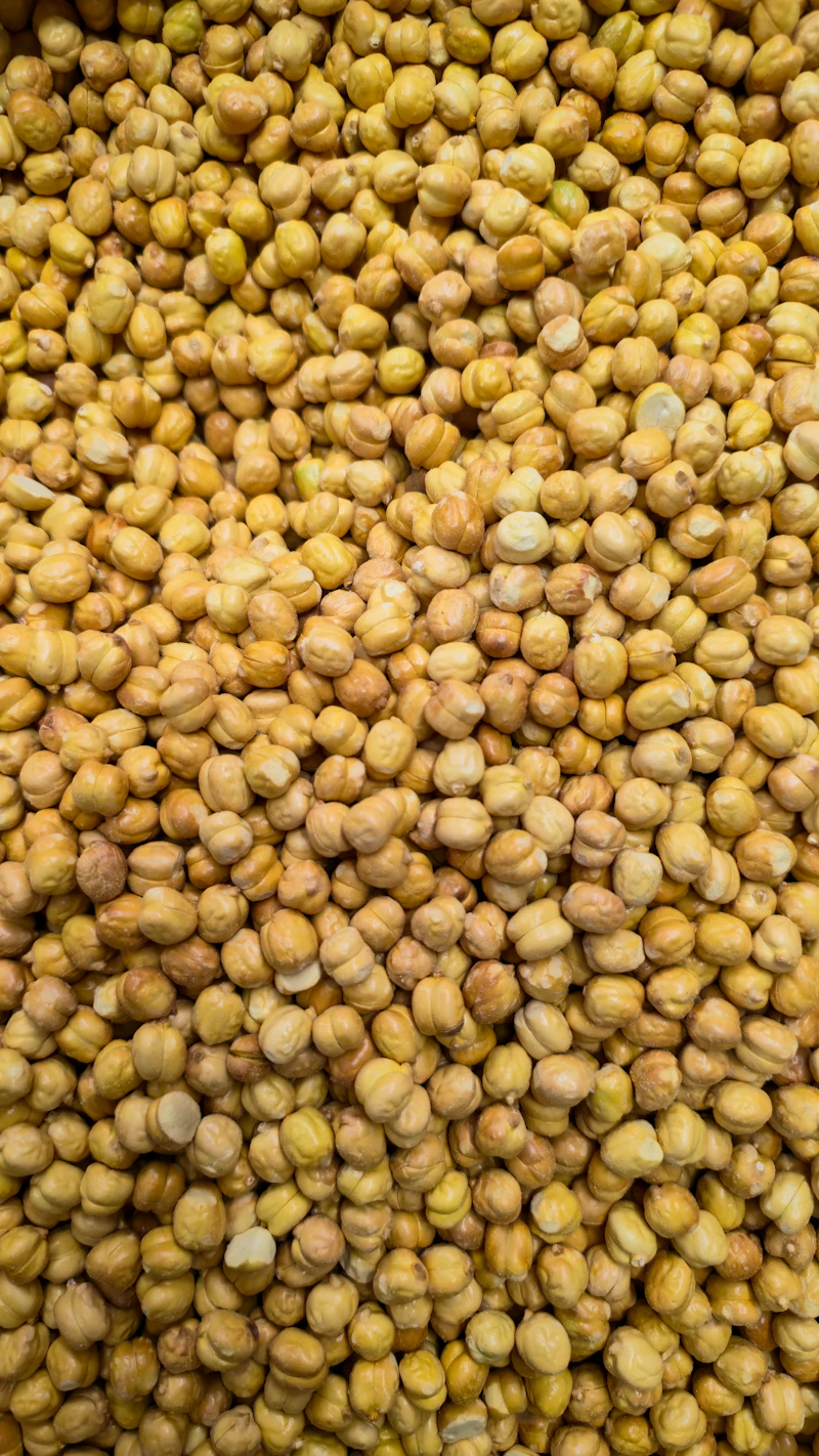Close-up of dried Kabuli chickpeas
