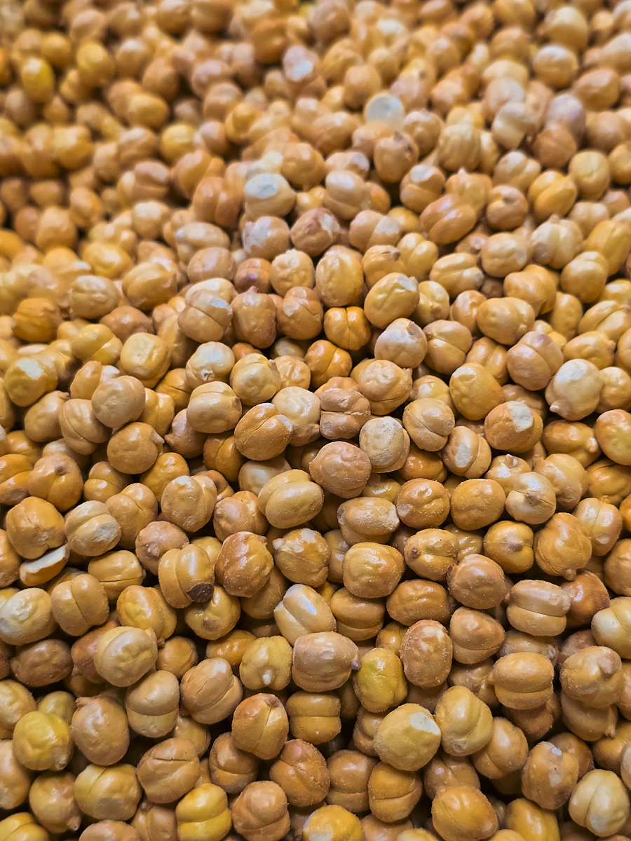 Dried Ethiopian chickpeas