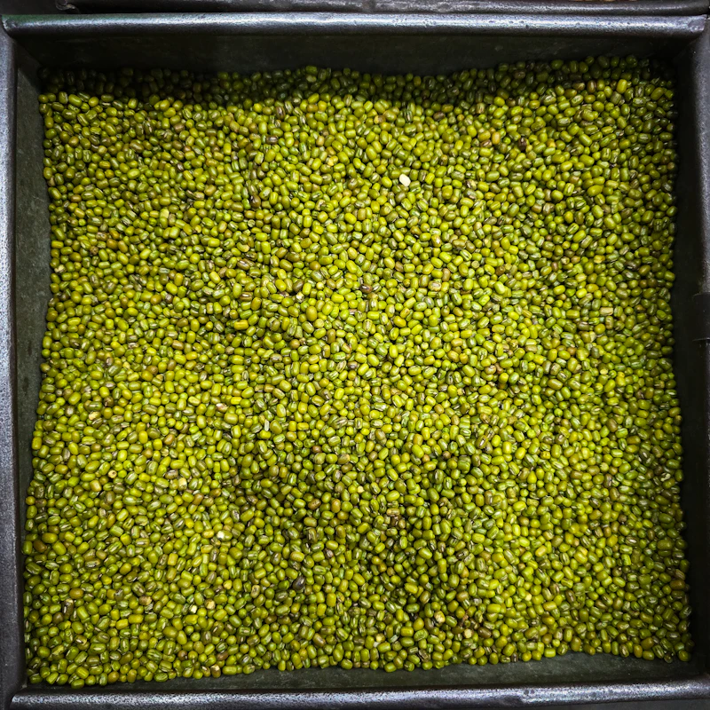 Whole green mung beans in a metal tray