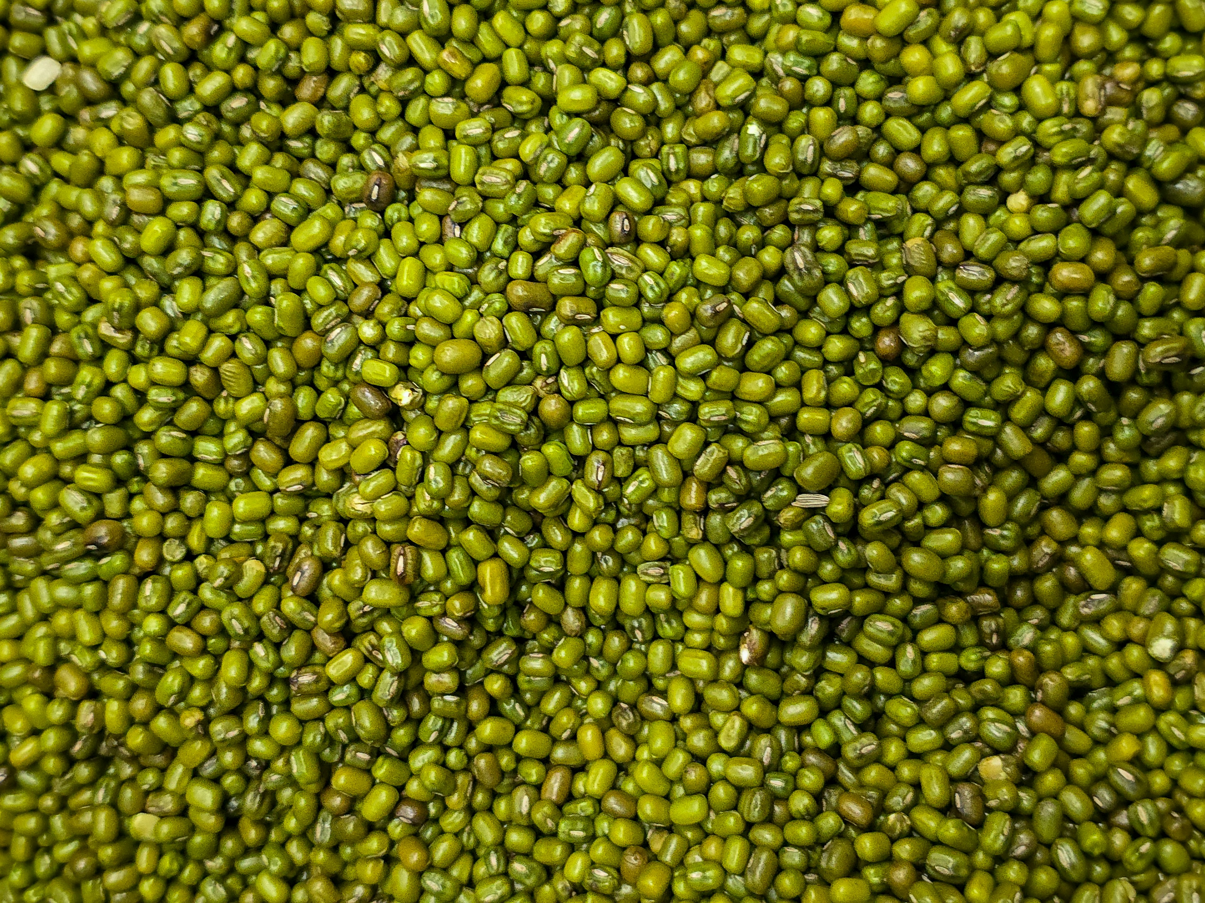 A dense pile of small green mung beans filling the frame