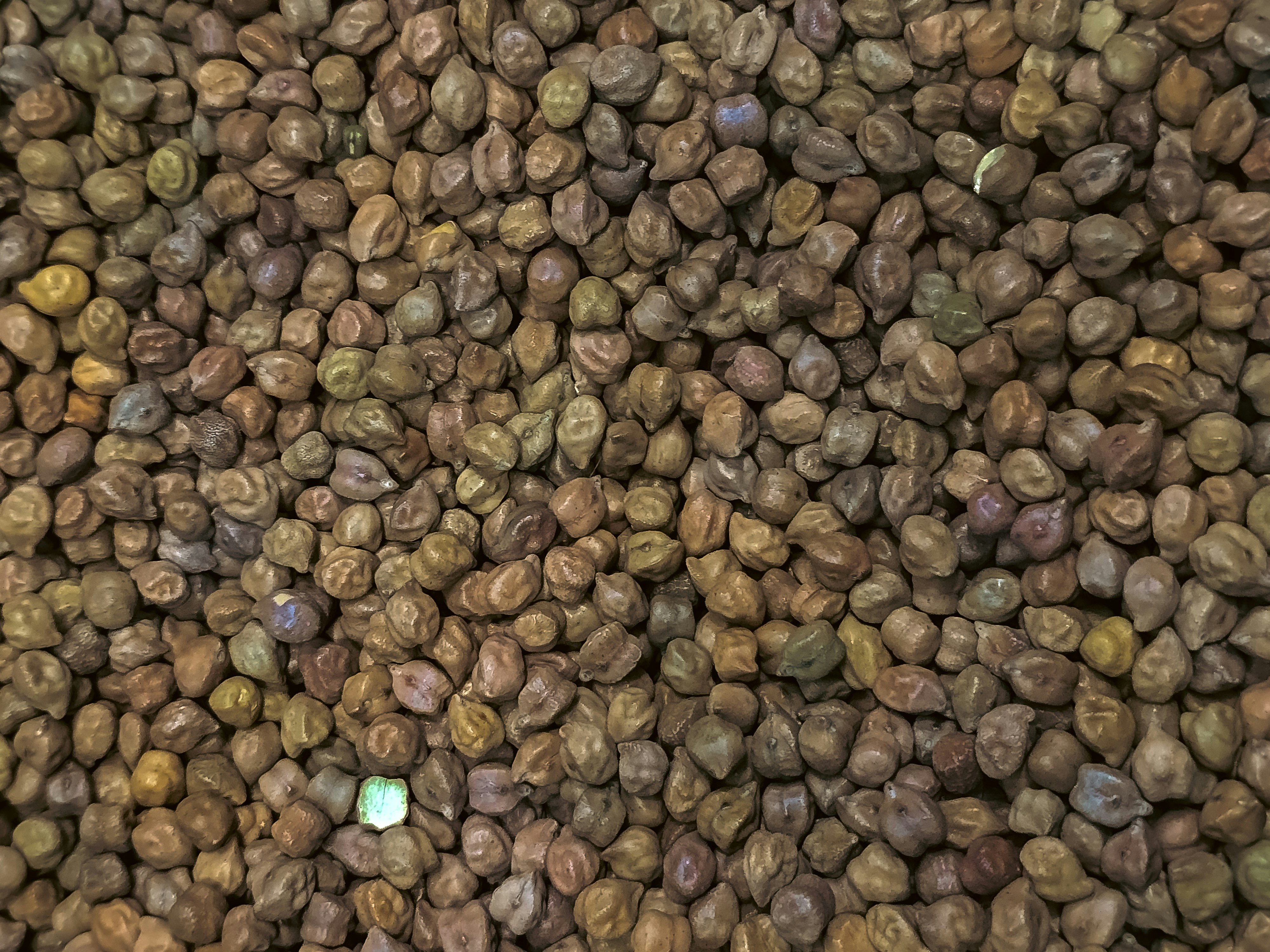 A large pile of dried brown chickpeas filling the frame