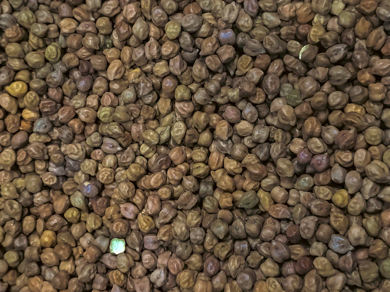 Small dark-brown Desi chickpeas