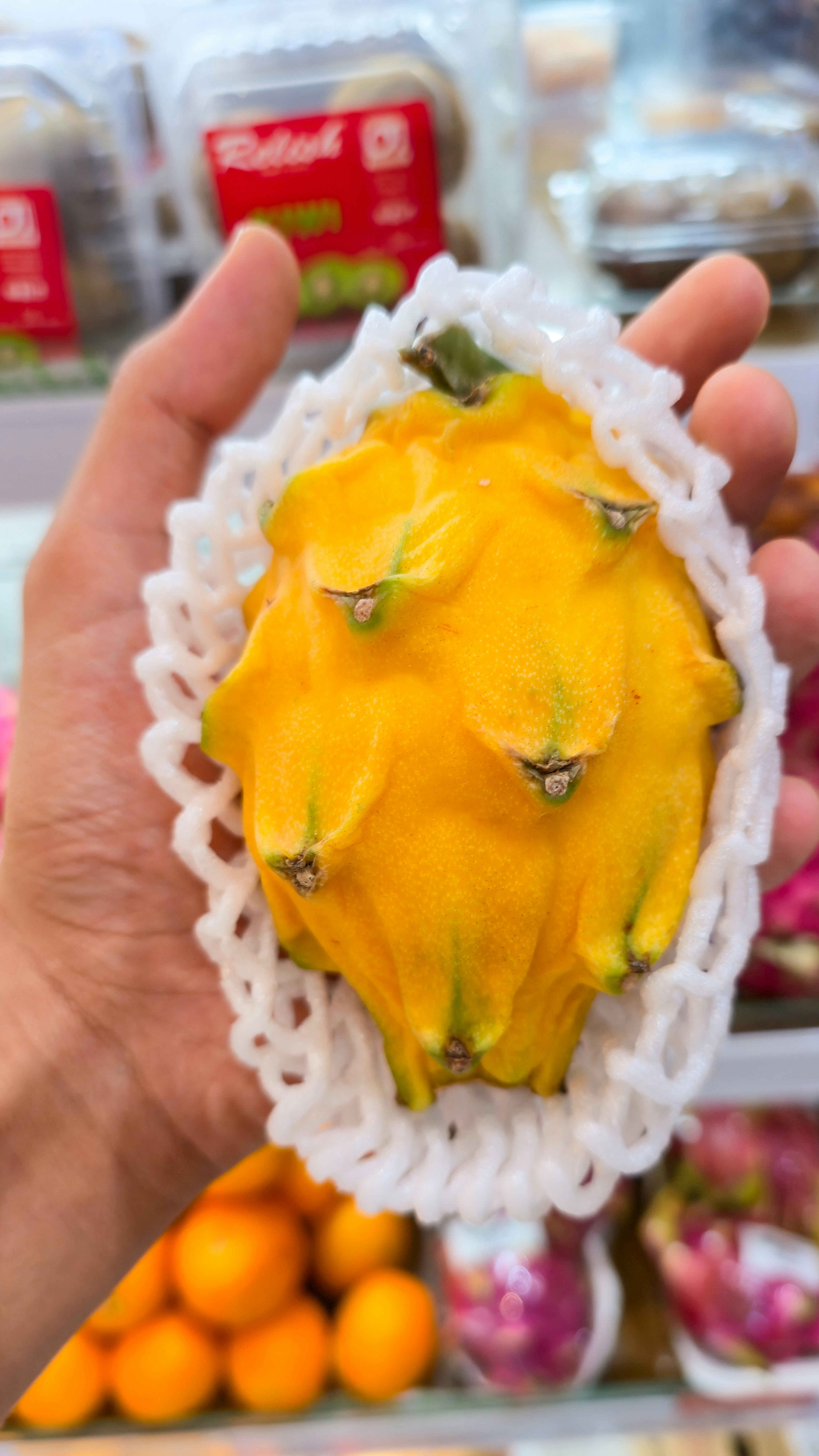 A hand holding a yellow dragon fruit wrapped in a protective foam net
