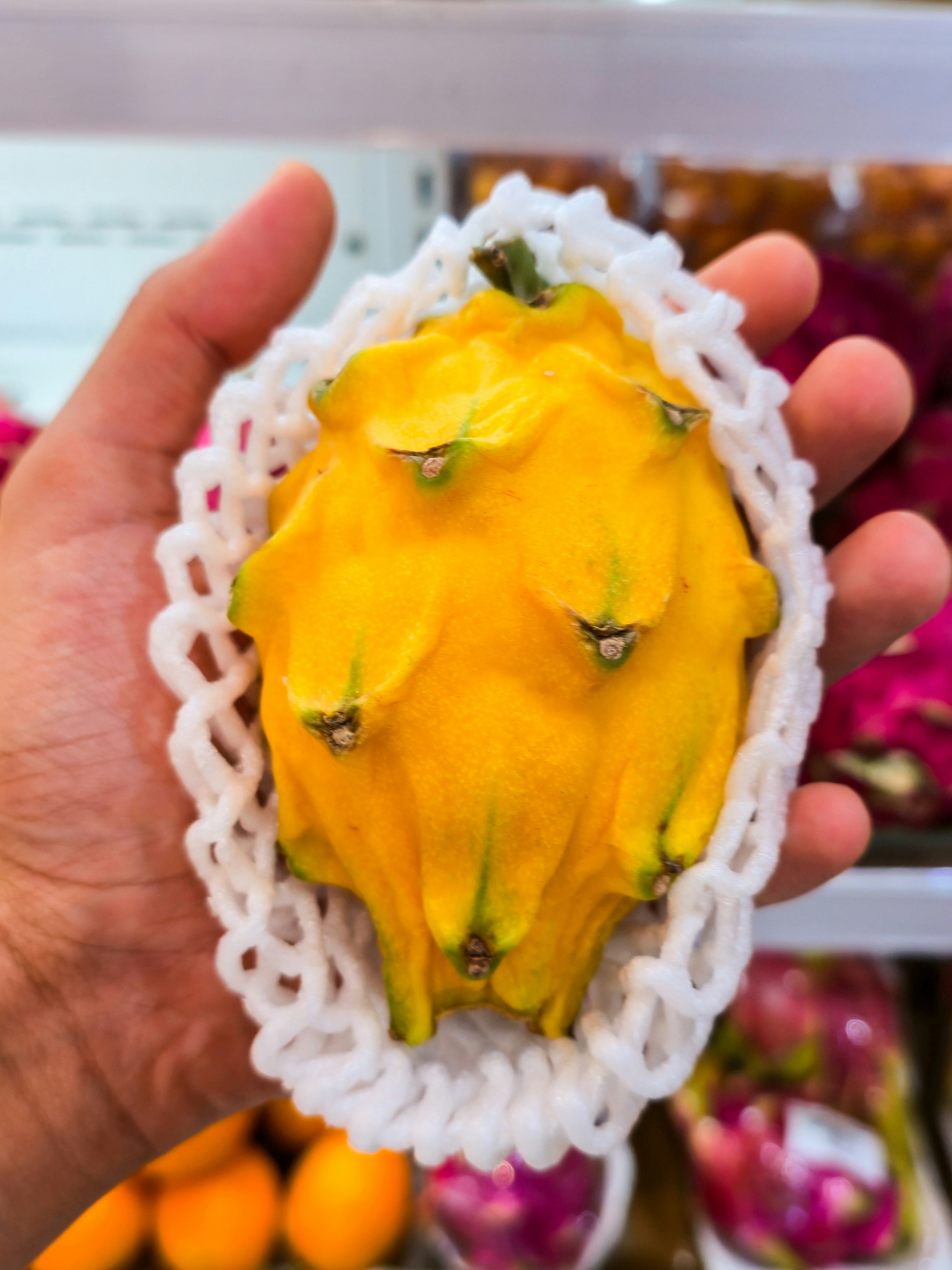 A hand holding a yellow dragon fruit wrapped in a white protective foam net