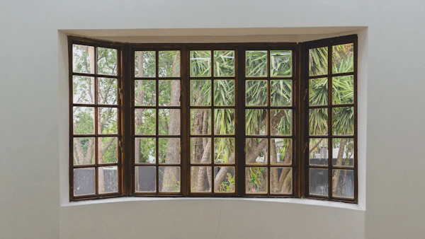 Windows Replacement