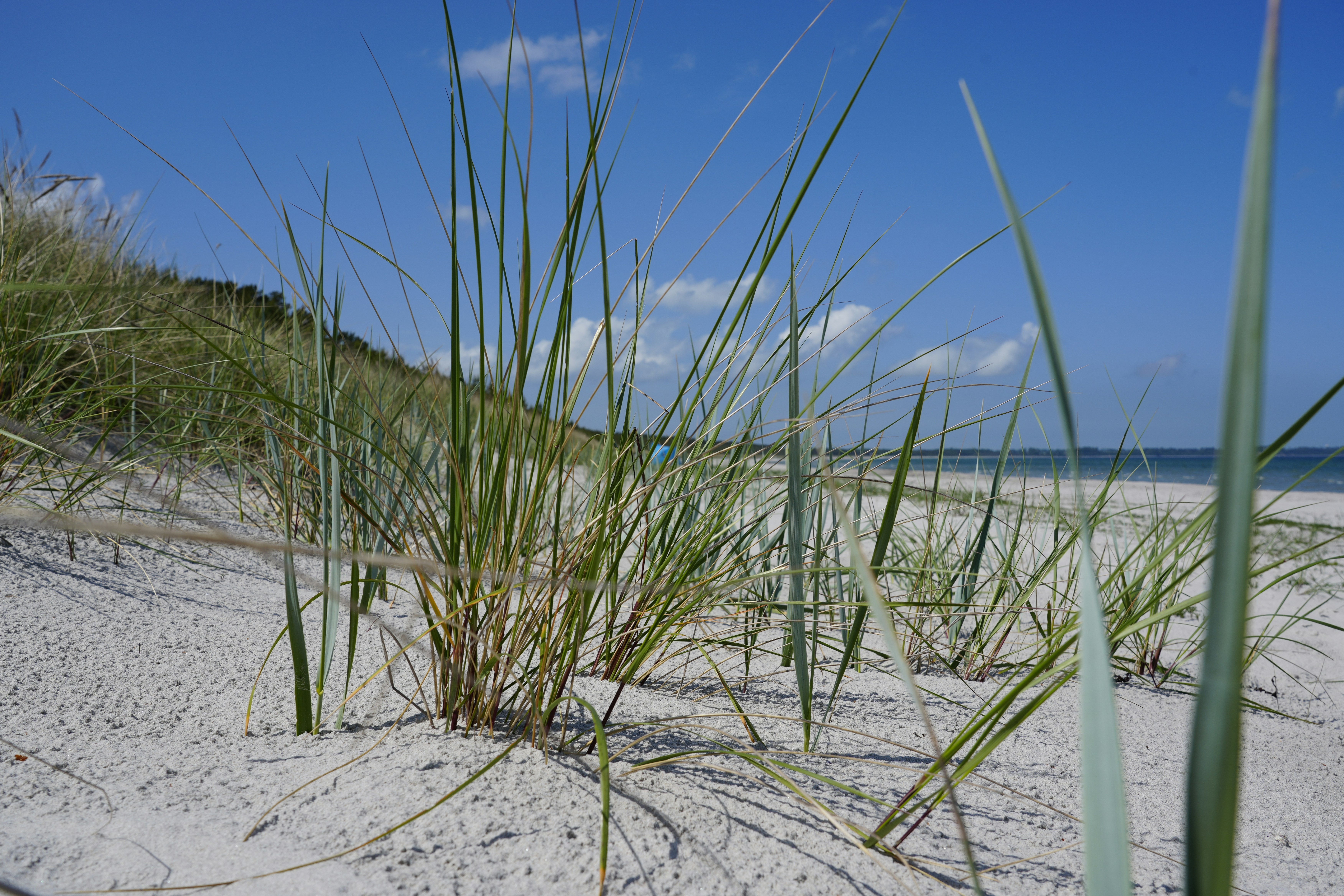 Plage de Quend-Plage-les-Pins — Quend-Plage-les-Pins