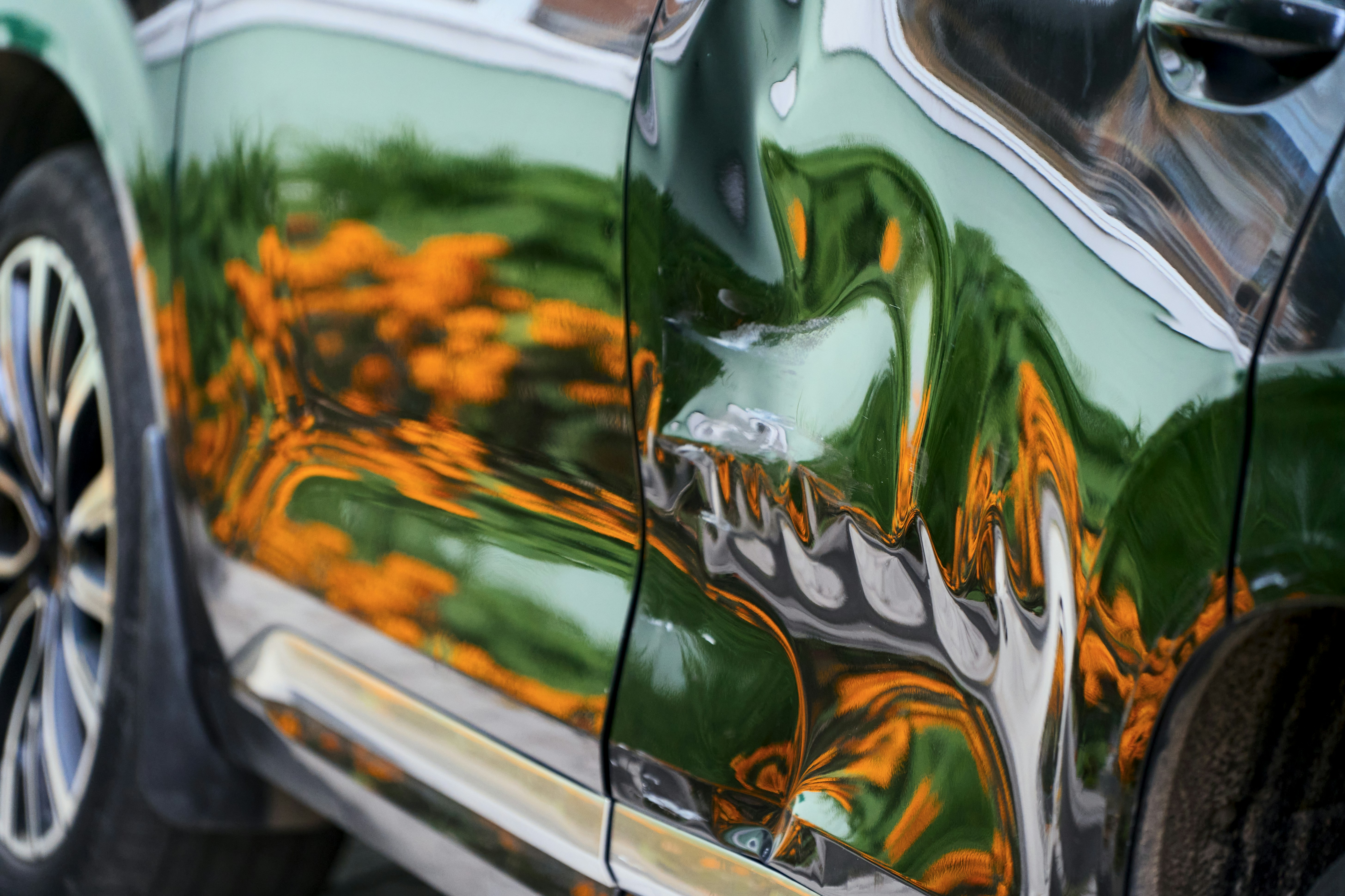 Delle in einer spiegelnden Autotür, im Lack spiegeln sich grüne Büsche und orange Blumen