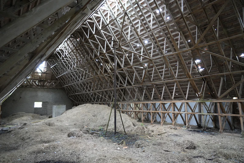 Large wooden attic with exposed roof trusses