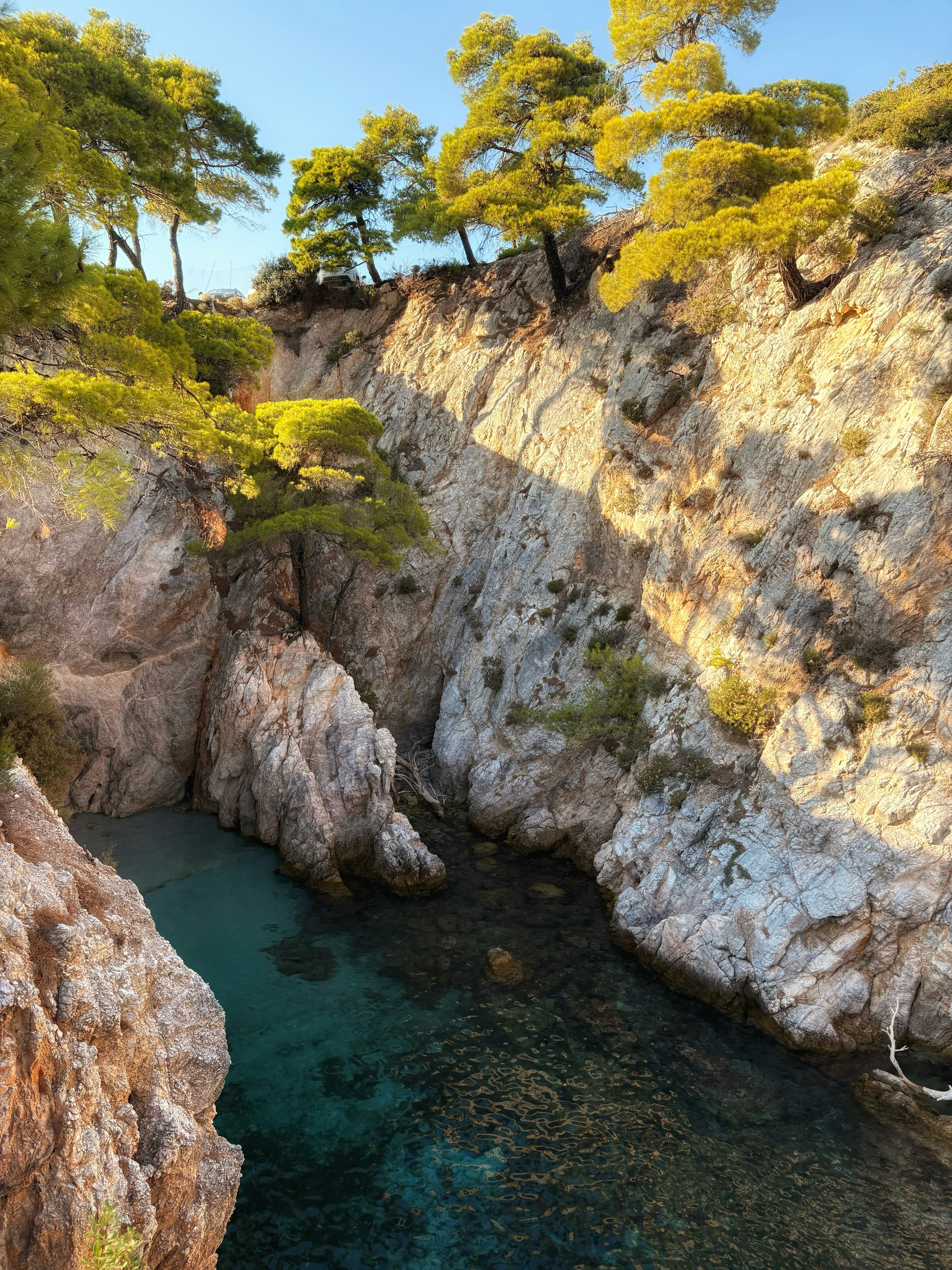 Camping l'Artaudois — Le Pradet