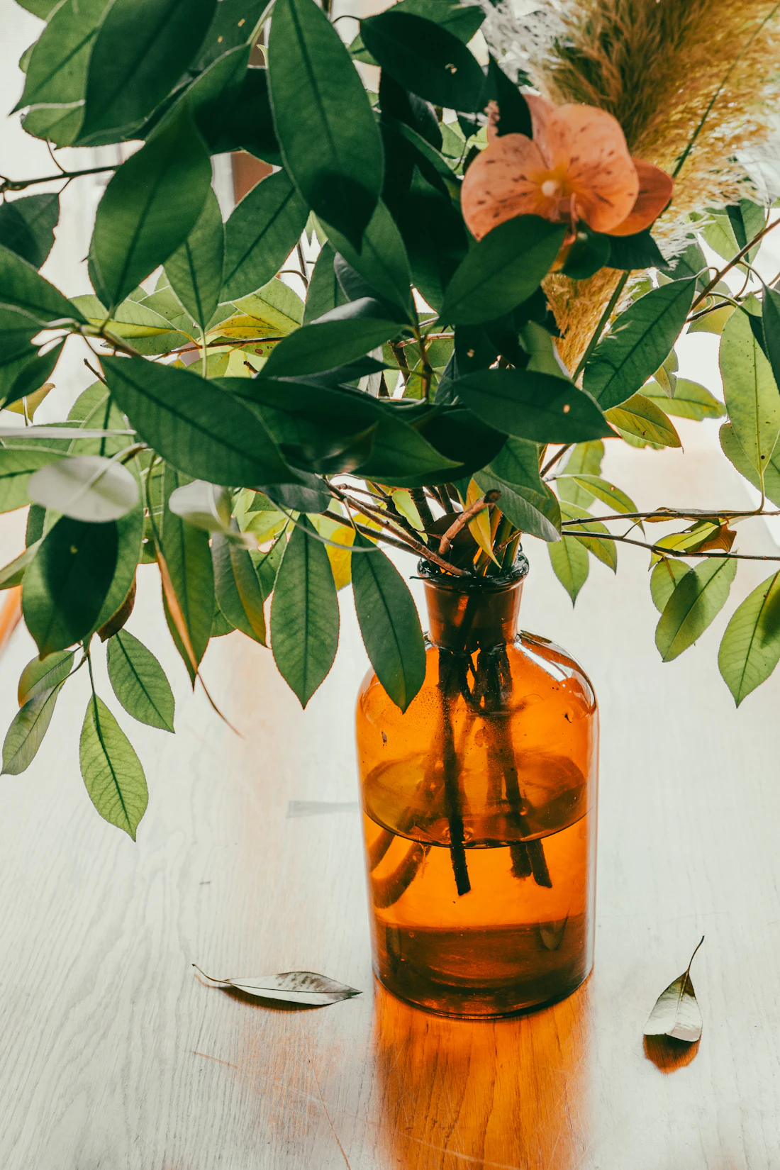 Green leaves arranged in an amber glass vessel against a pale wall.