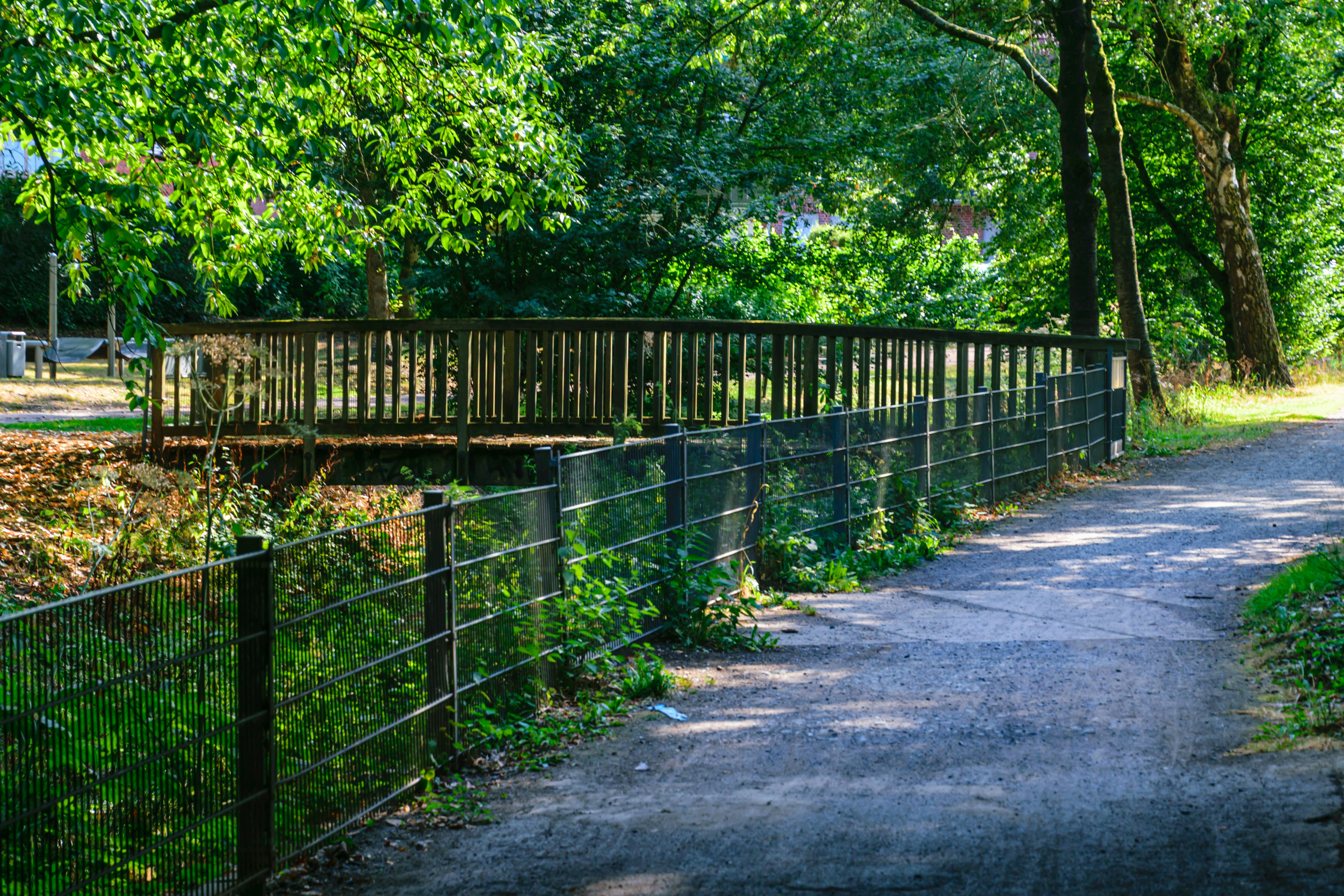 Wooden footbridge over a small creek