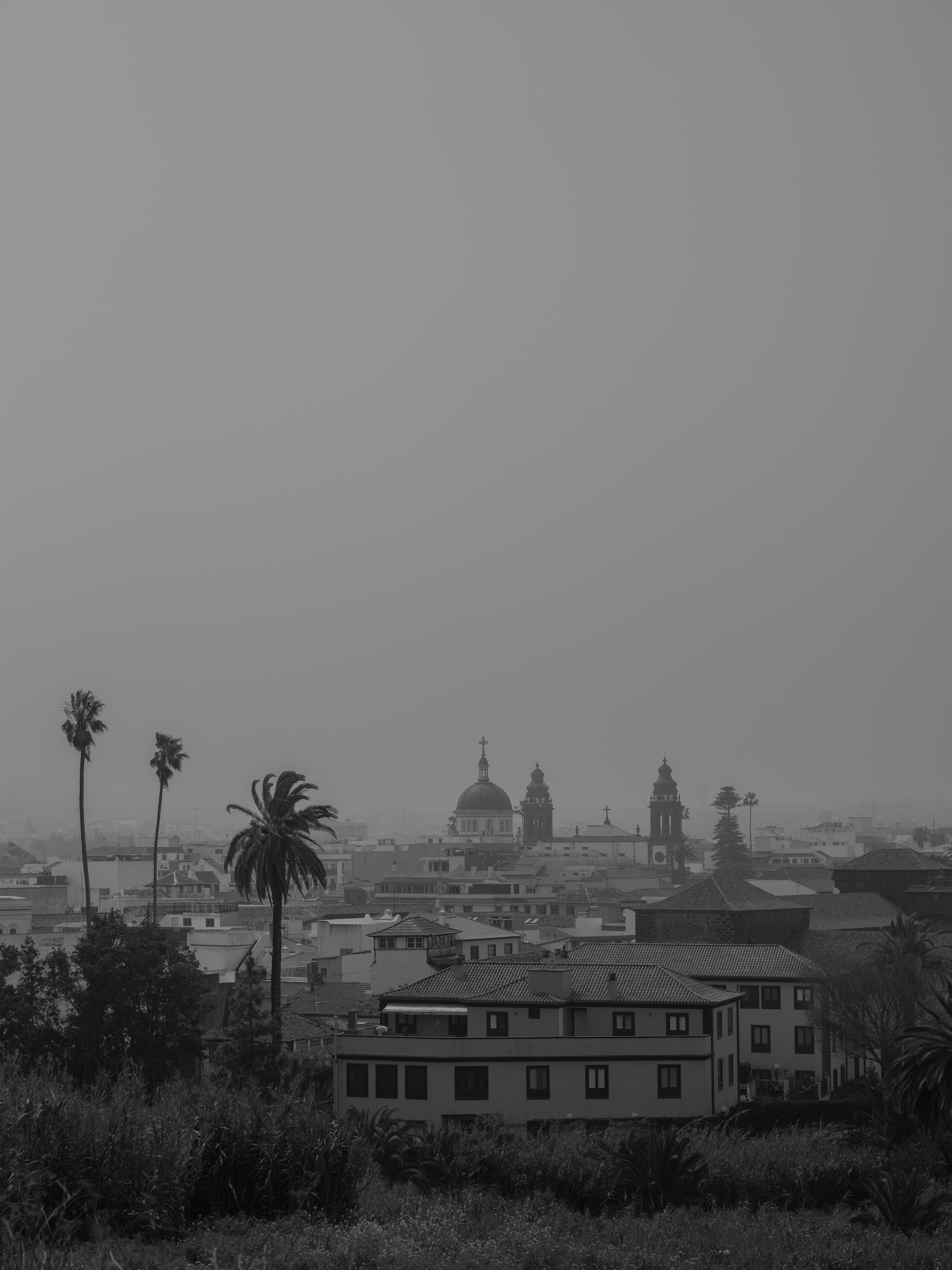 A black and white view of a city skyline with a domed church