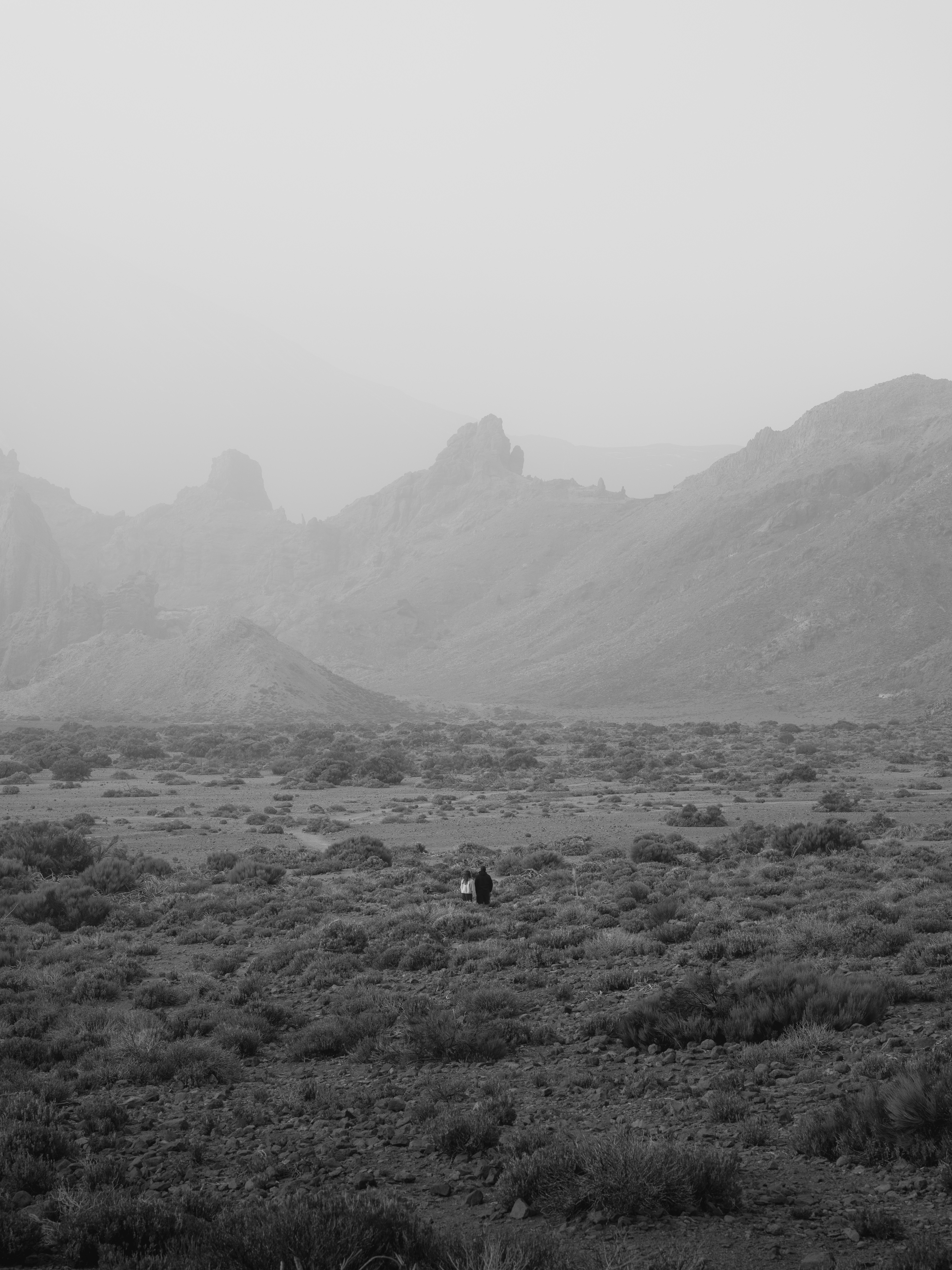 Two people walking through a vast arid landscape with distant rocky mountains