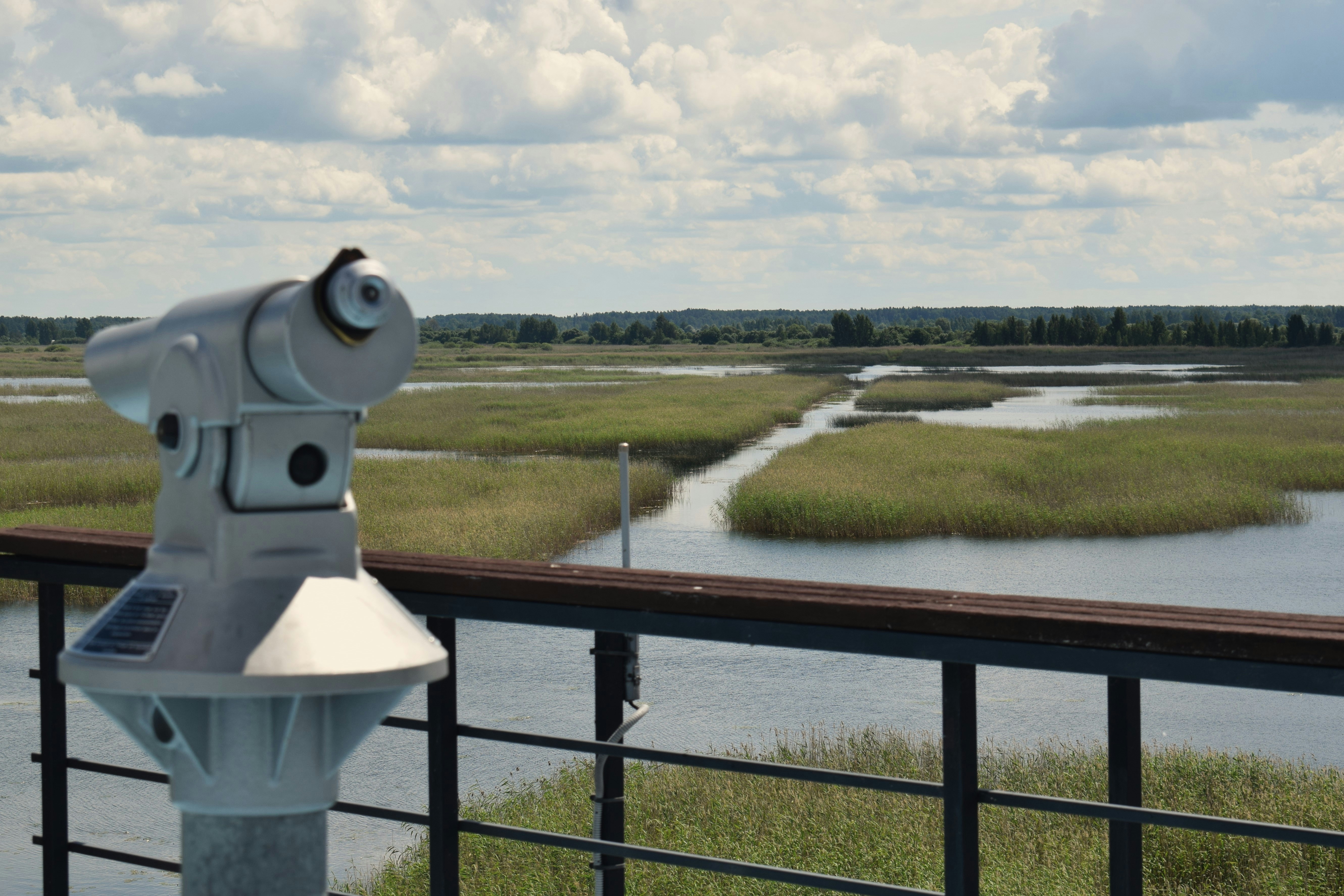 A metal coin-operated telescope overlooking a marshy wetland with tall grasses and water