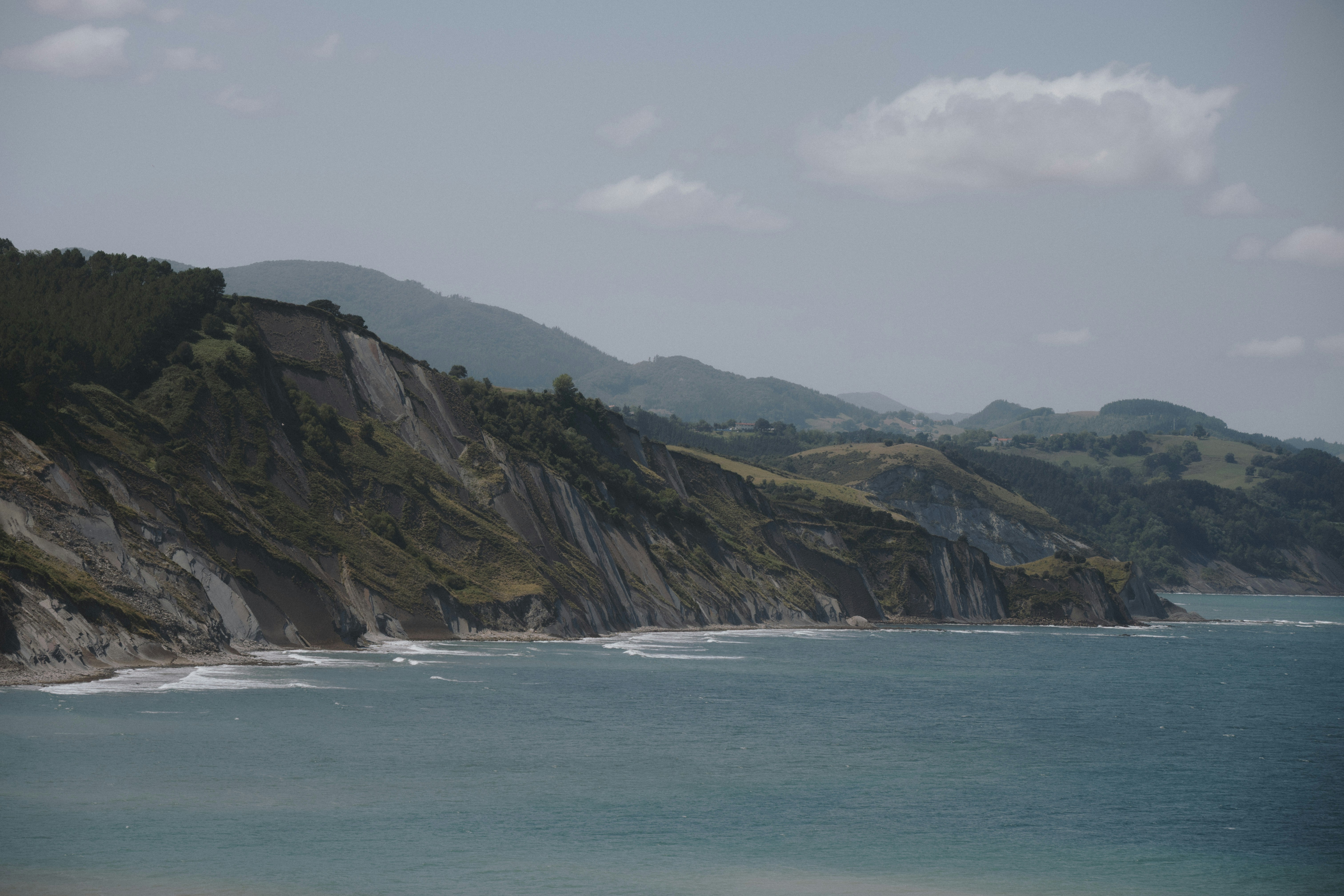 Flea Bay / Pōhatu view 3