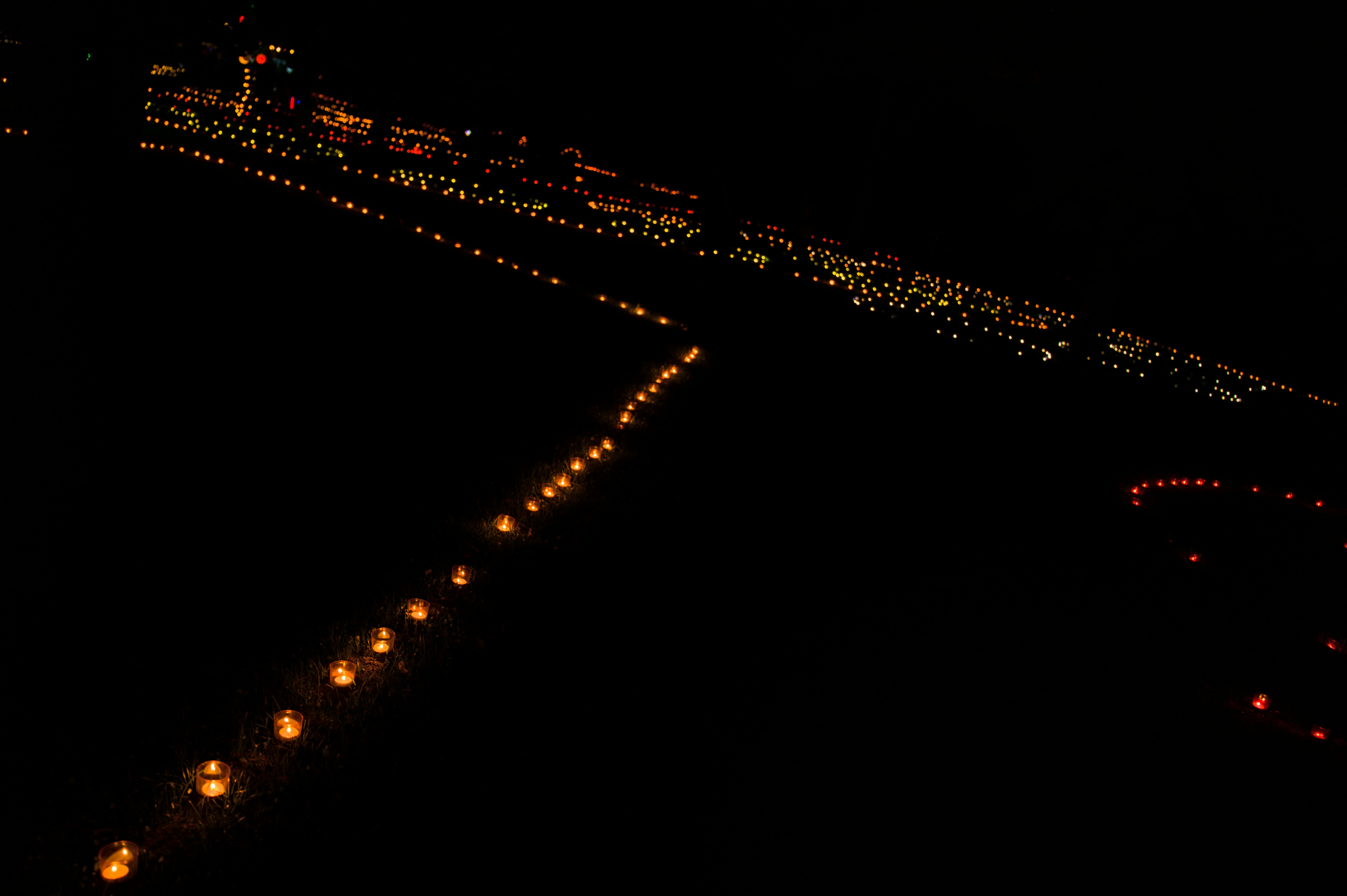 A line of small glowing candles on the ground against a dark background