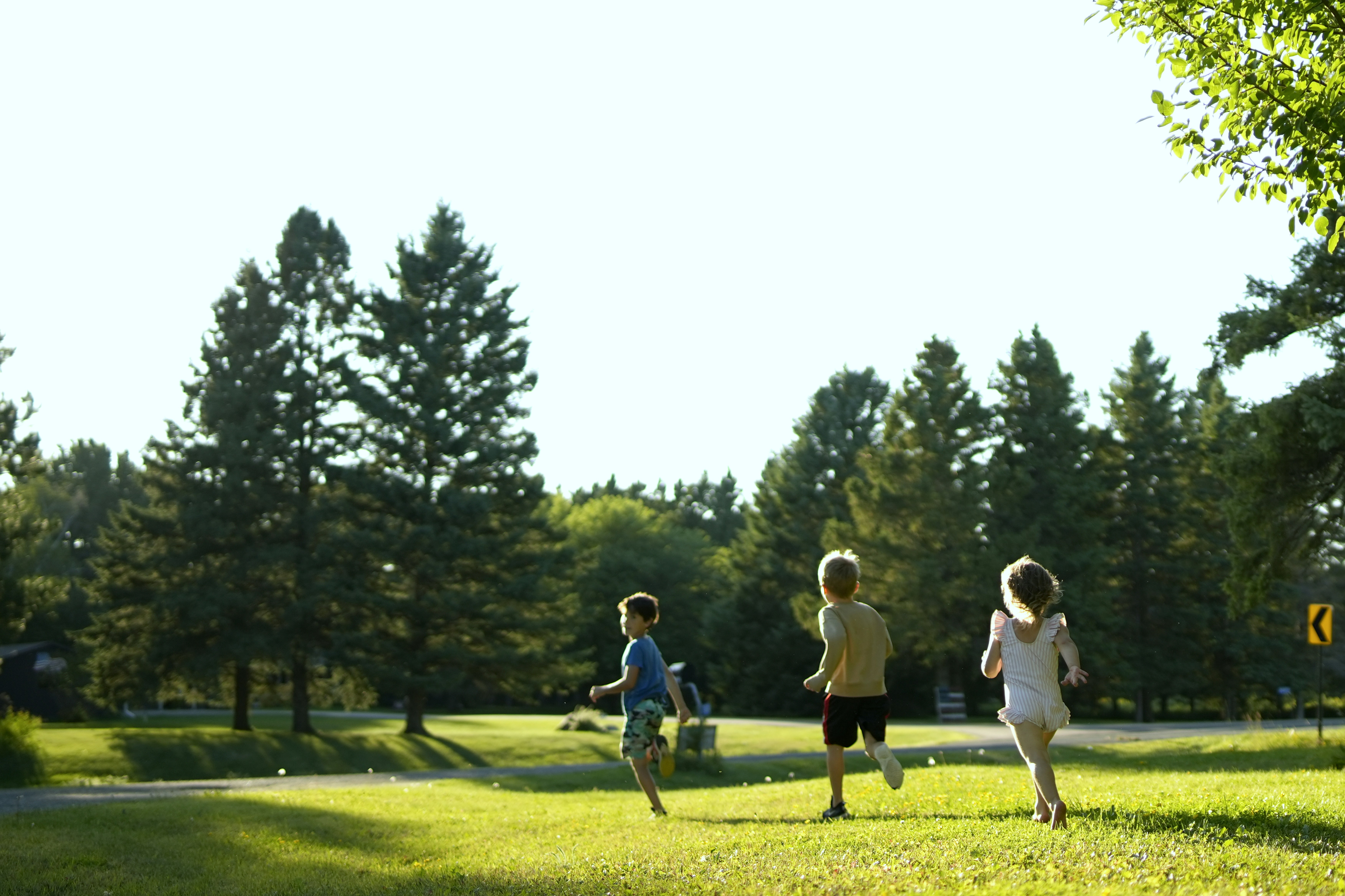 children playing at the park