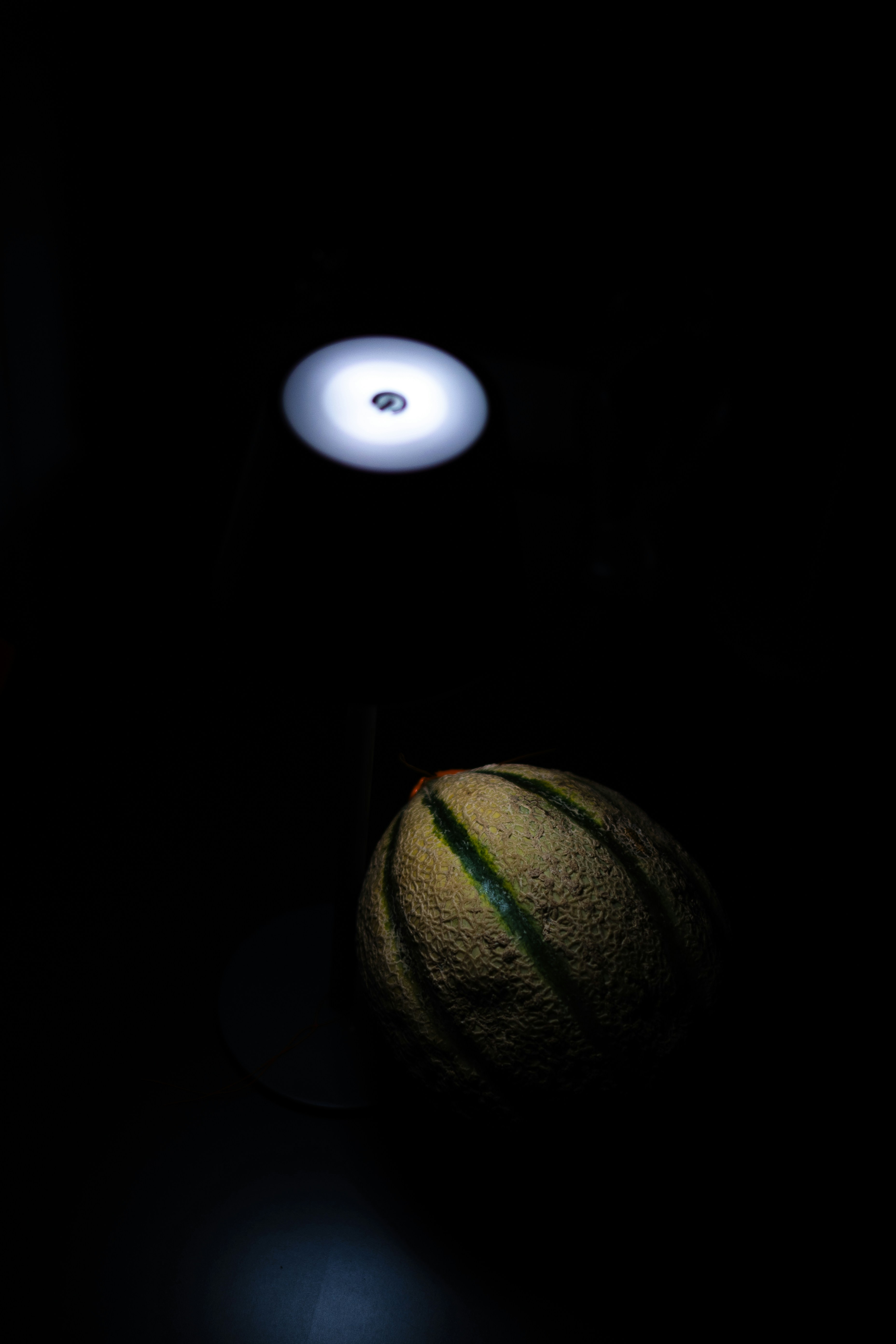 A cantaloupe melon illuminated by a circular desk lamp in a dark room
