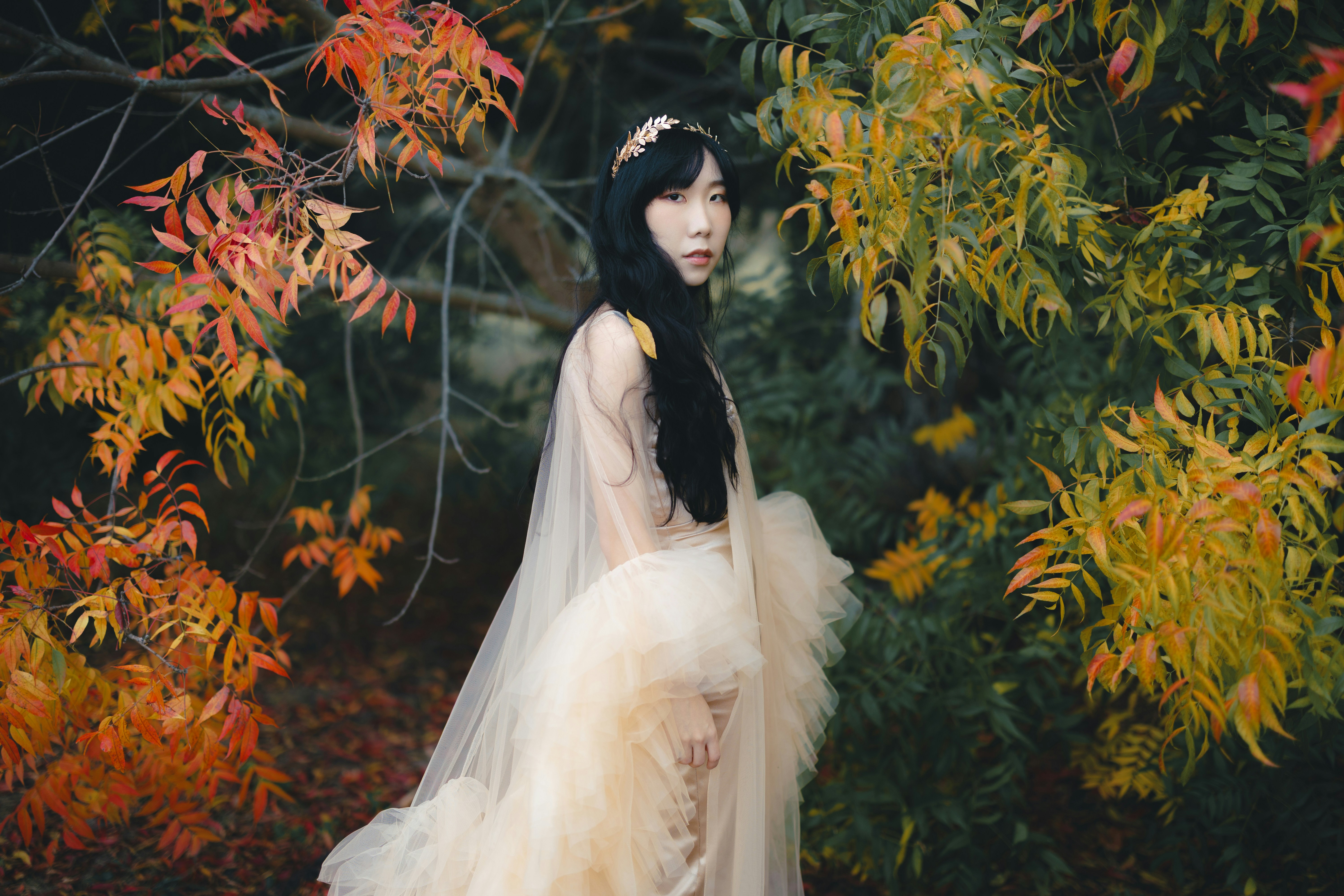 Photo of A woman in a beige tulle dress and gold headpiece among autumn foliage by James Forbes