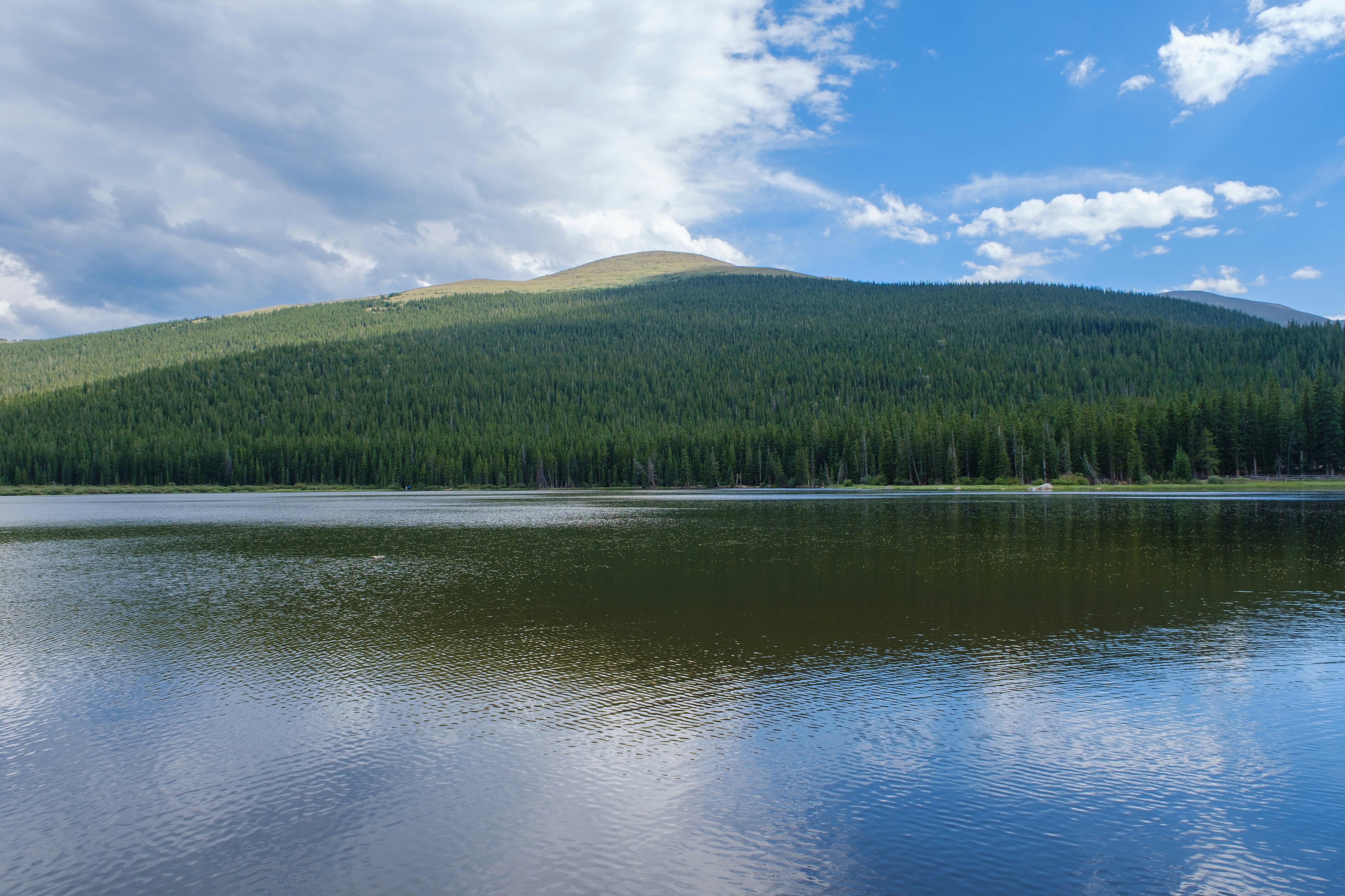 Um lago calmo refletindo um céu azul diante de uma densa floresta de pinheiros e montanha