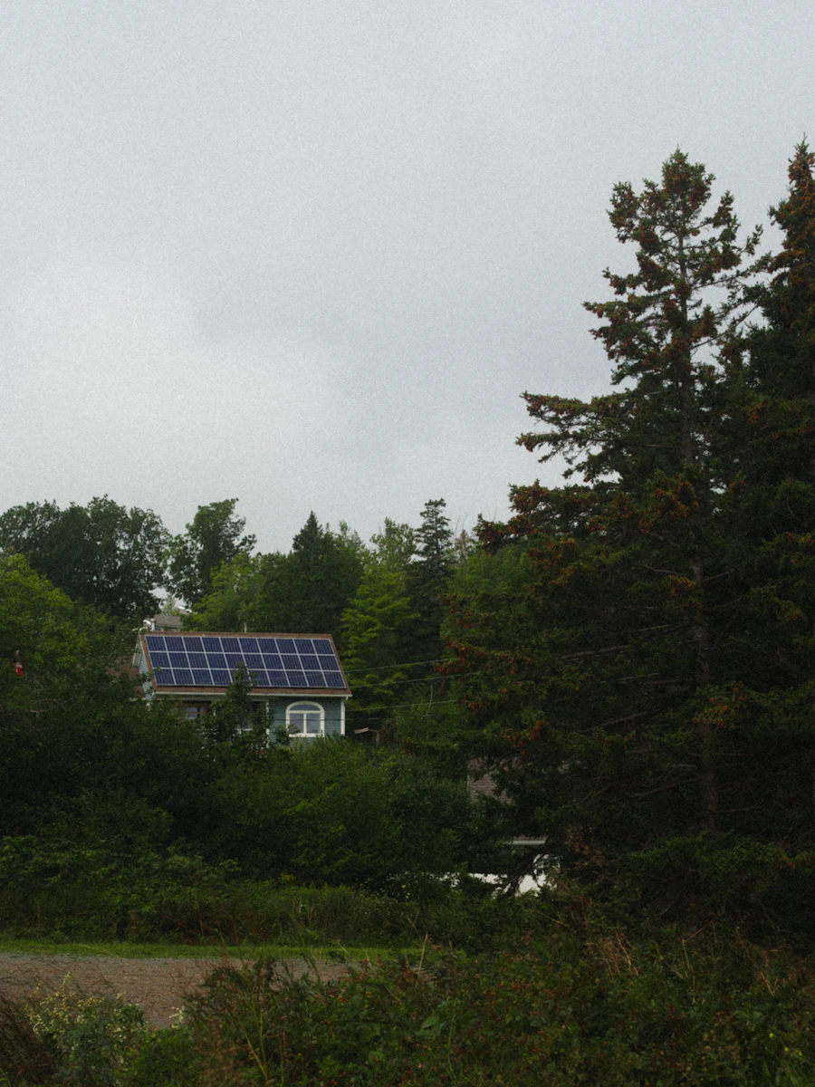 House with solar panels on the roof among green trees