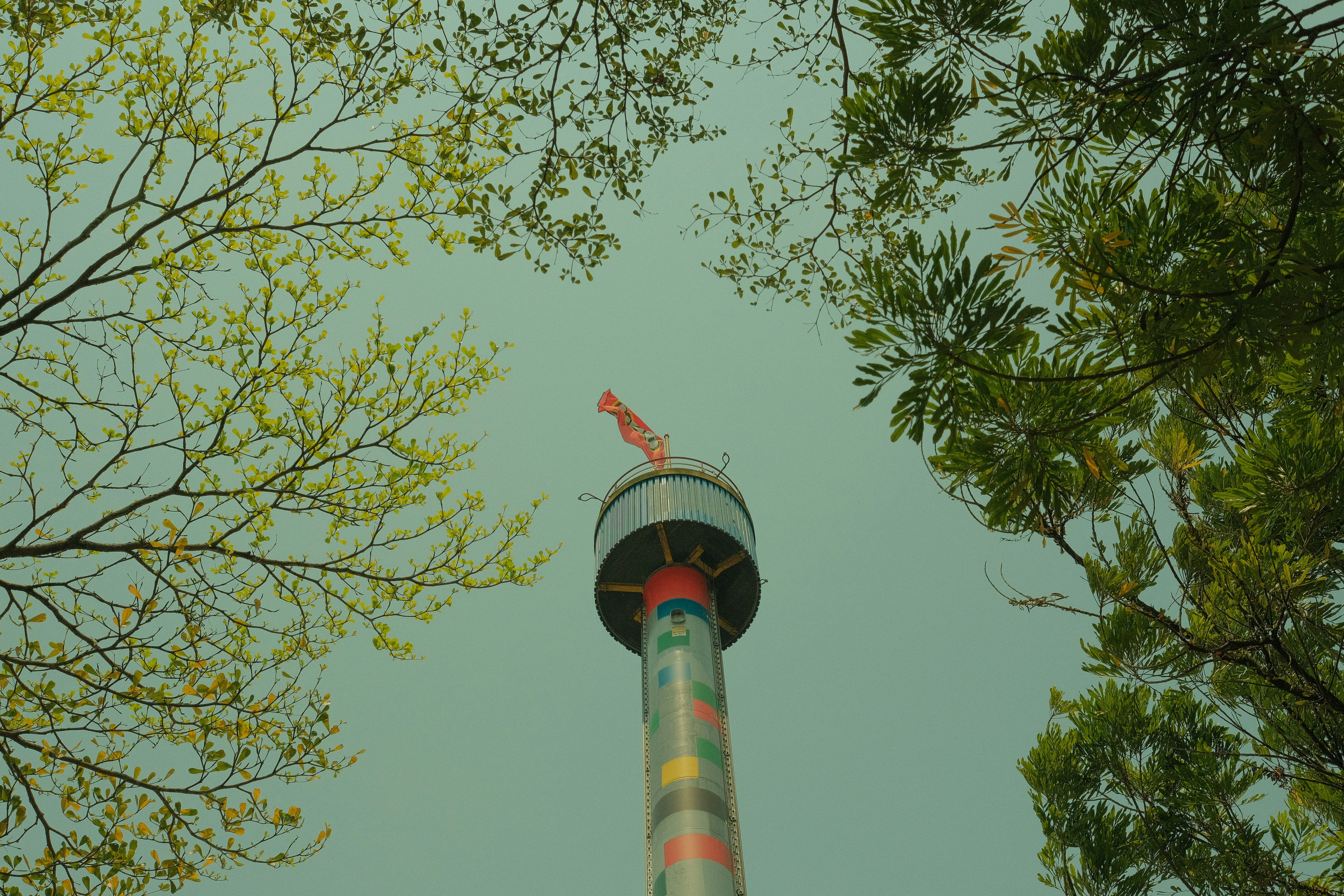 Une haute tour de chute de parc d’attractions encadrée de branches d’arbres vertes contre un ciel