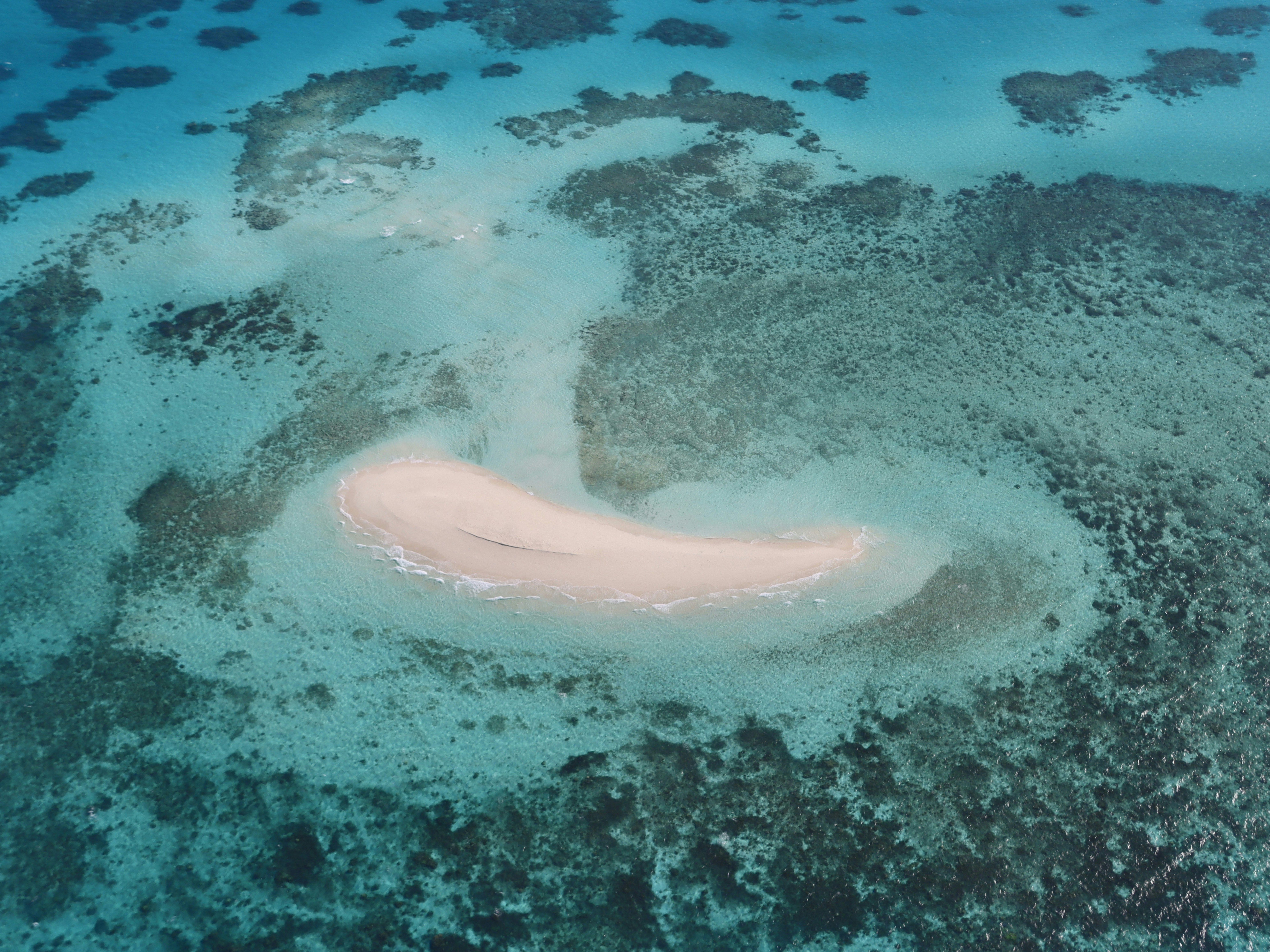 Pemandangan udara dari sebuah pasir putih kecil yang dikelilingi oleh terumbu karang berwarna pirus