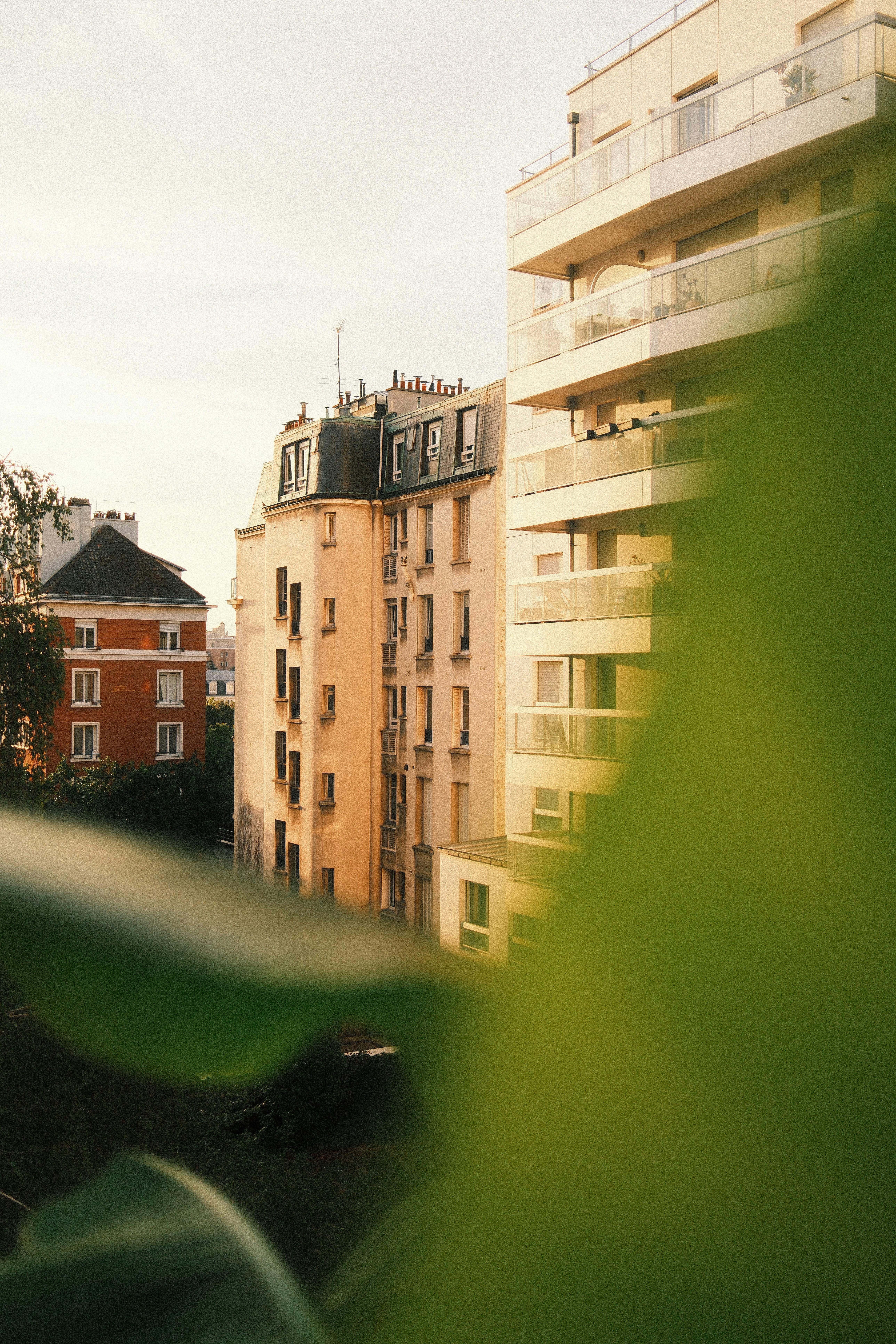 Apartment buildings in Paris seen through blurred green leaves in the foreground