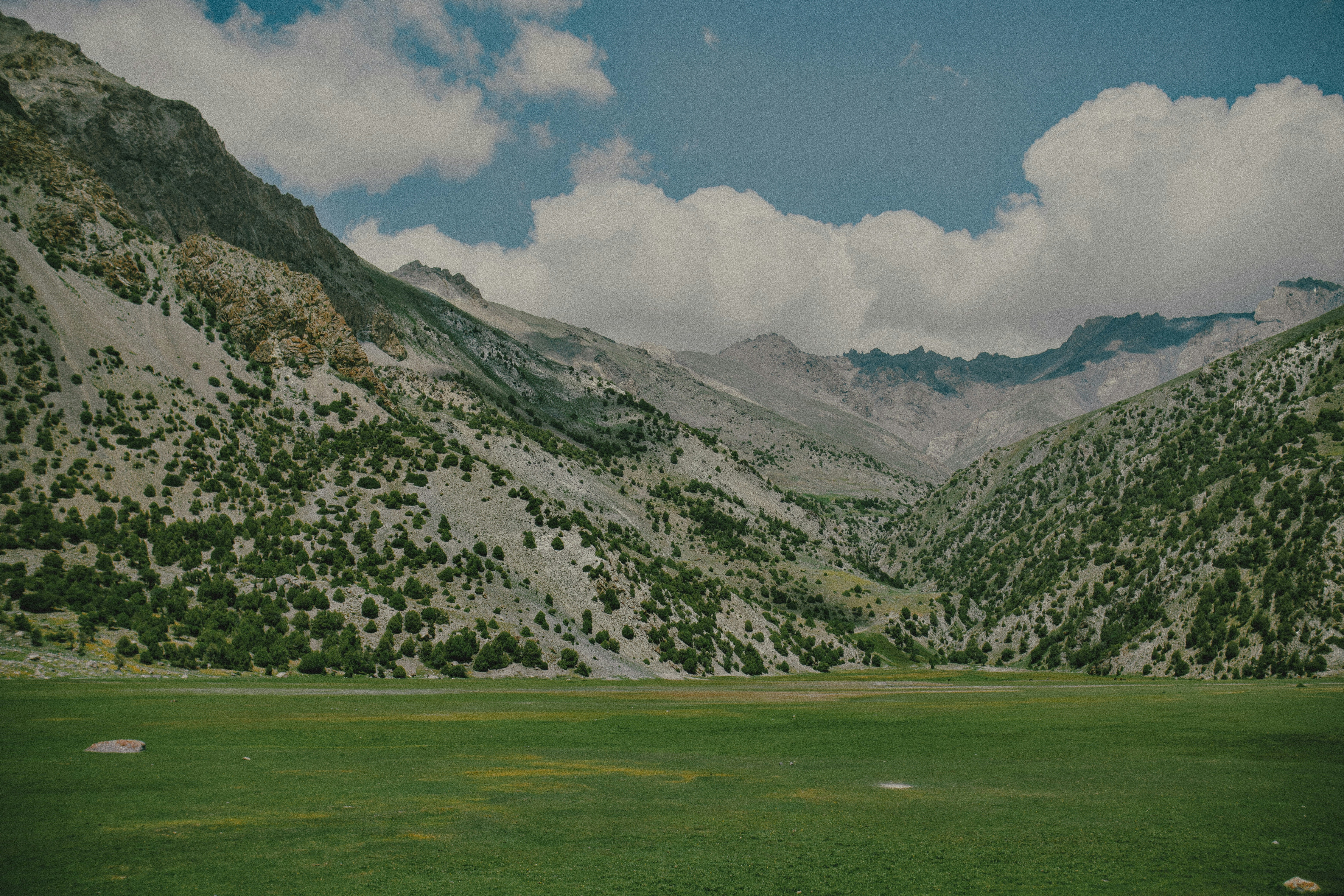 A green mountain valley with scattered trees below rocky peaks under a cloudy sky