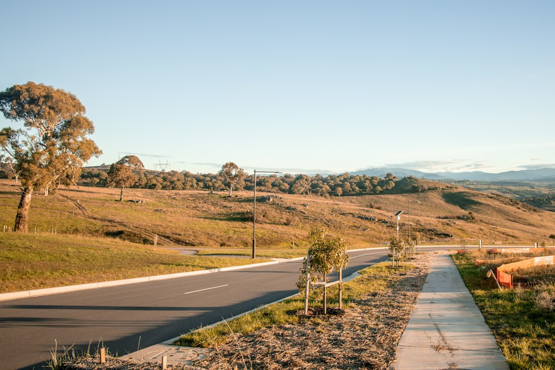 Automatic driving lessons in Flemington