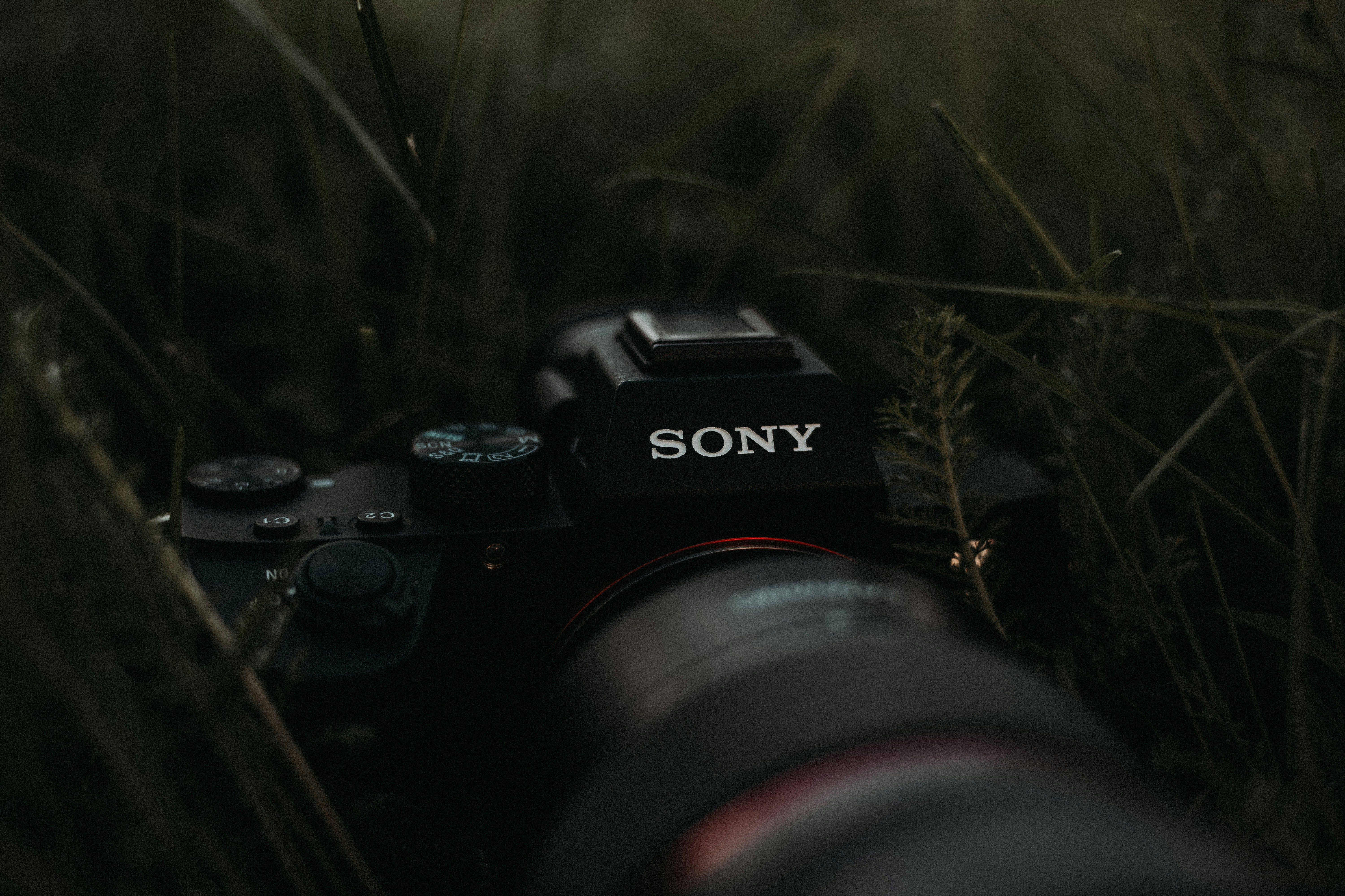 A black Sony camera nestled in tall green grass