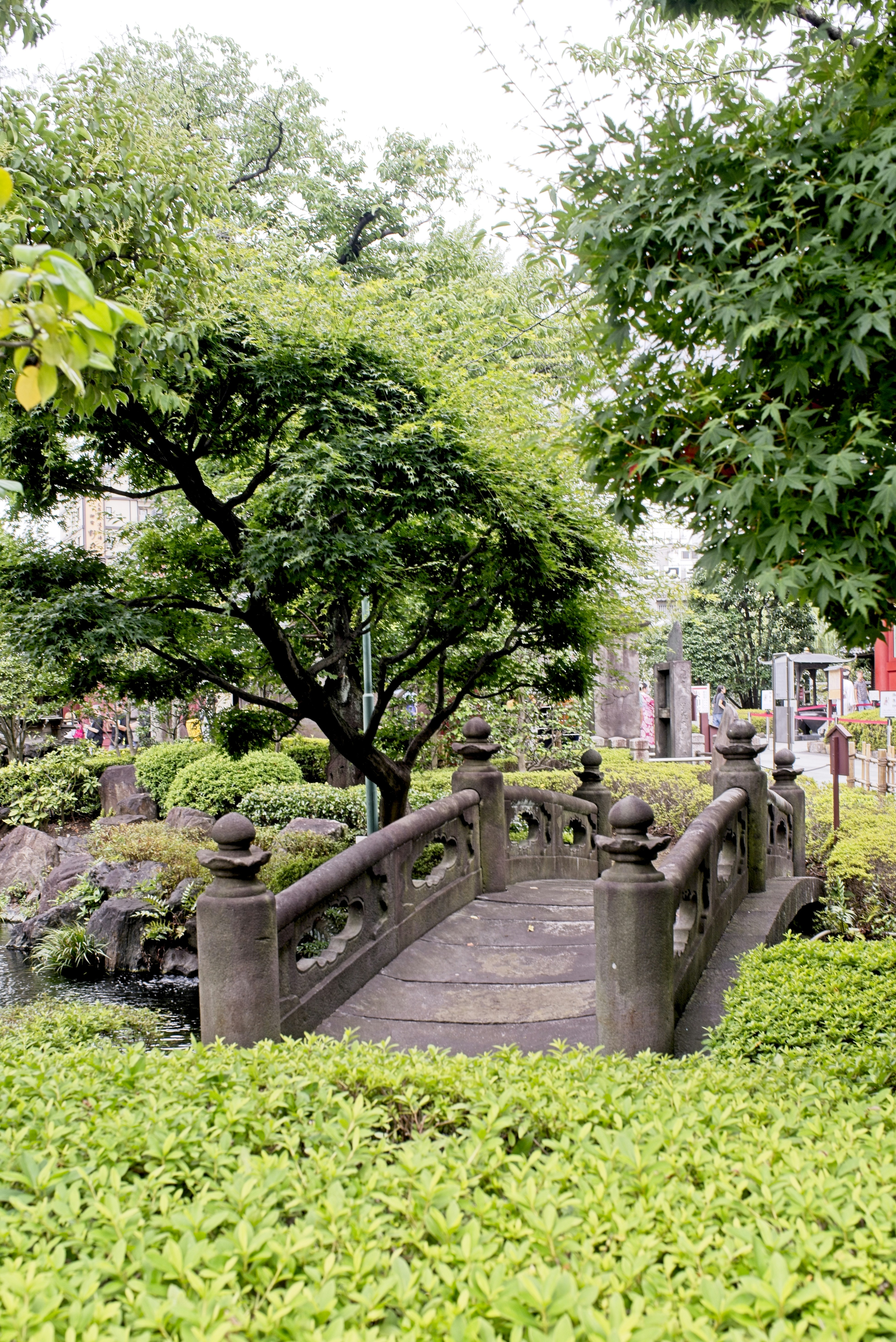 A stone arched bridge over a small pond in a lush Japanese garden