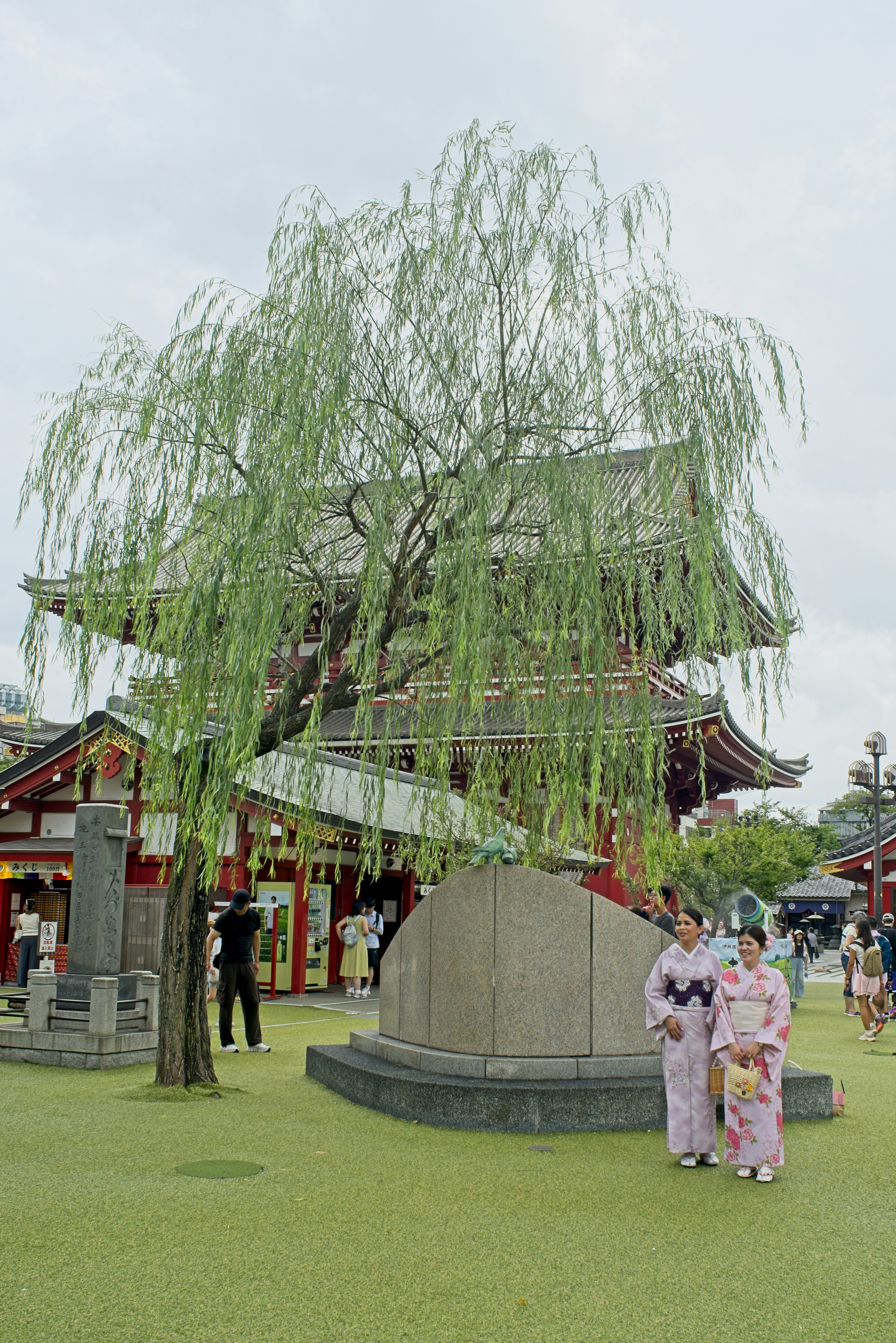 Two women in kimonos standing before a large willow tree at Senso-ji in Tokyo