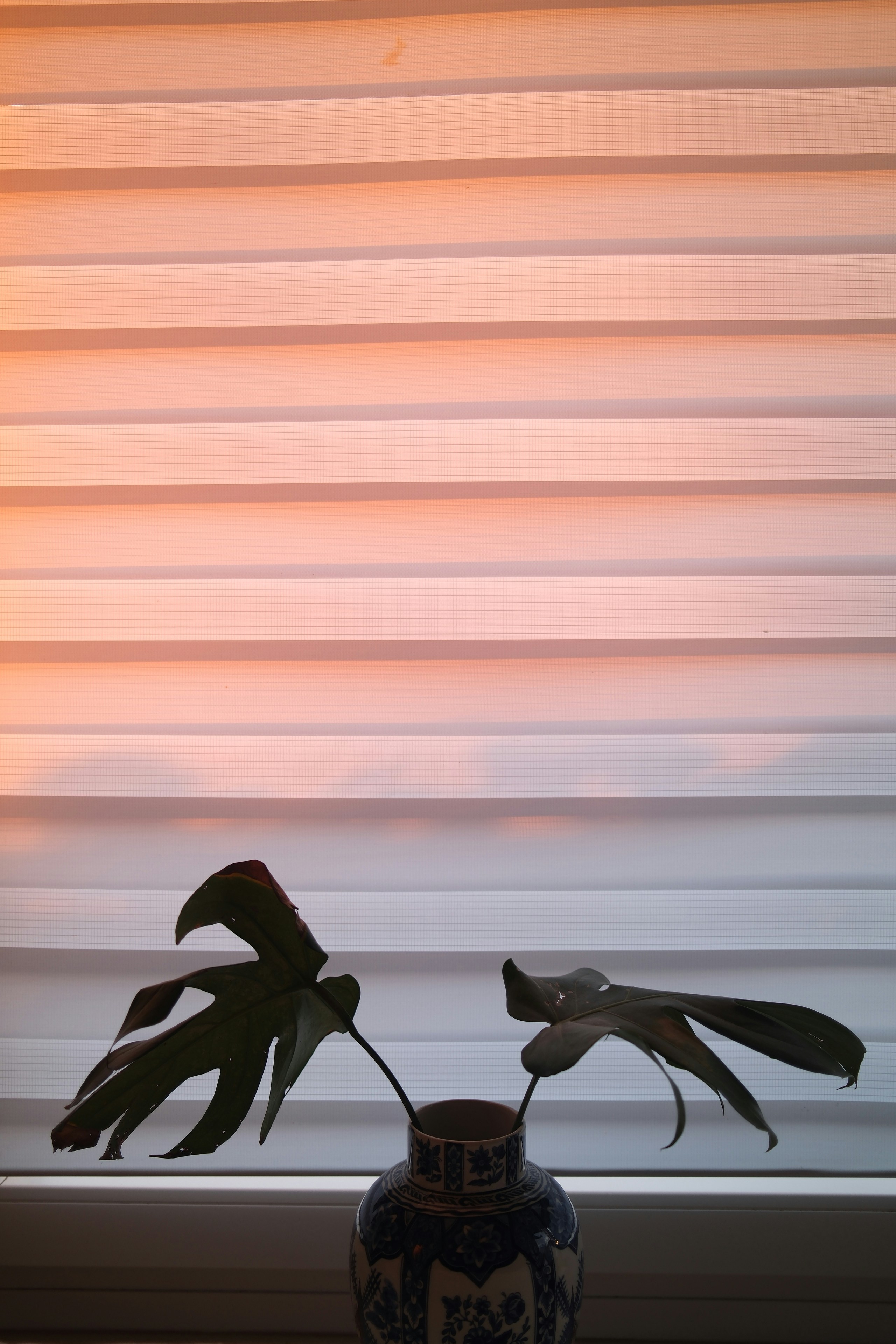 A monstera leaf in a blue and white patterned vase against striped blinds