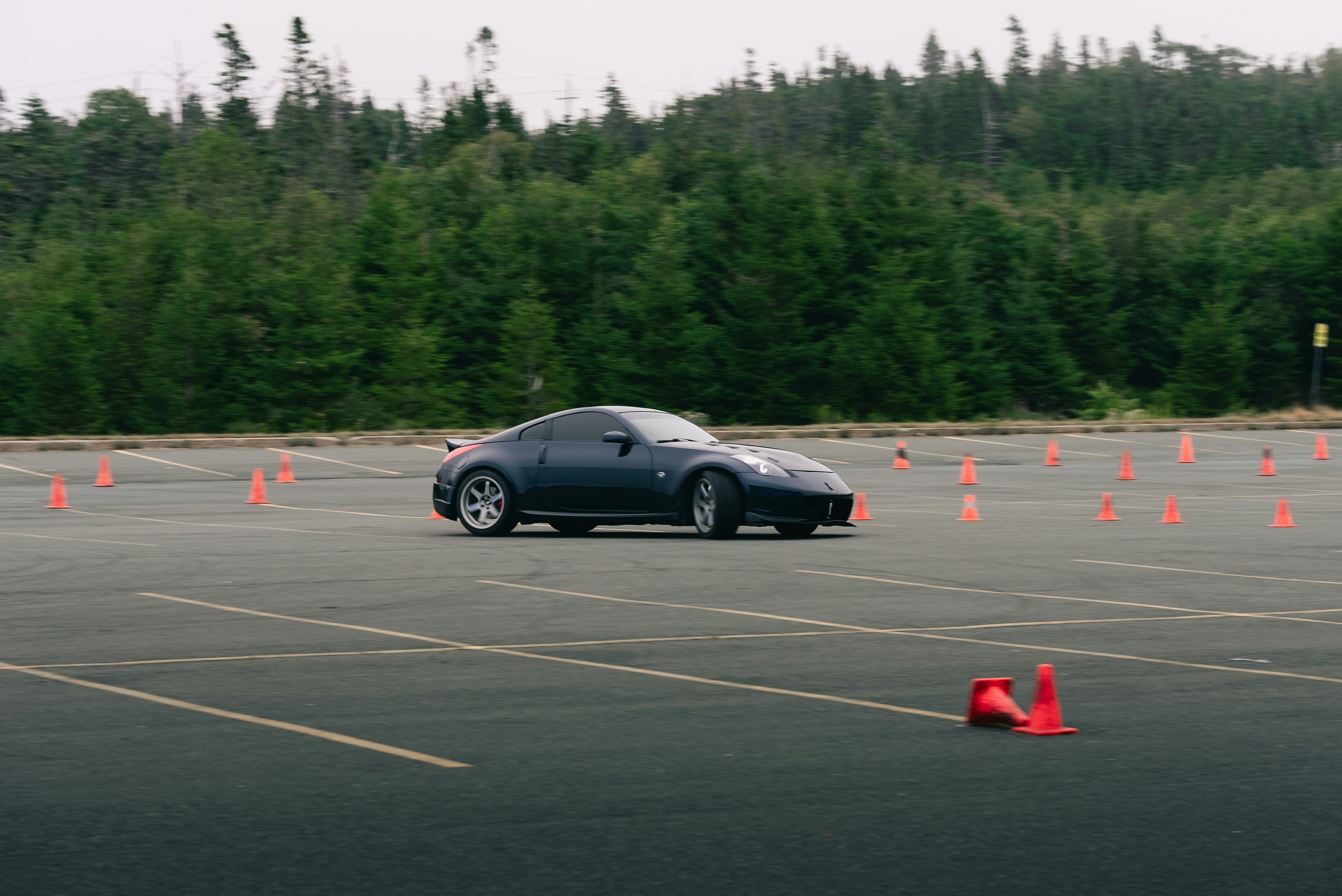 Professional driver training session
