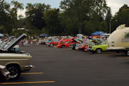 Classic cars with open hoods parked in rows at an outdoor car show